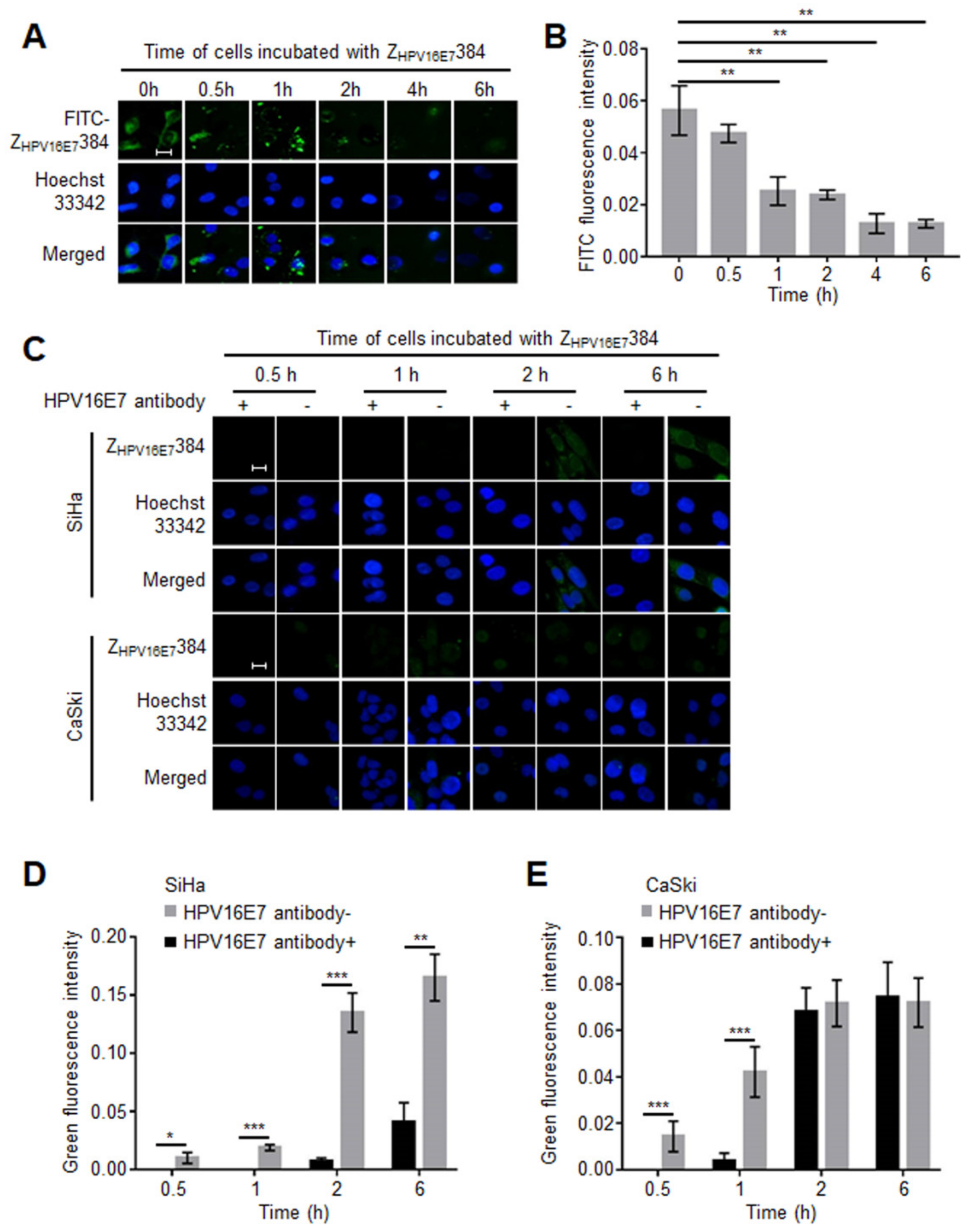 Biomolecules 12 01114 g004