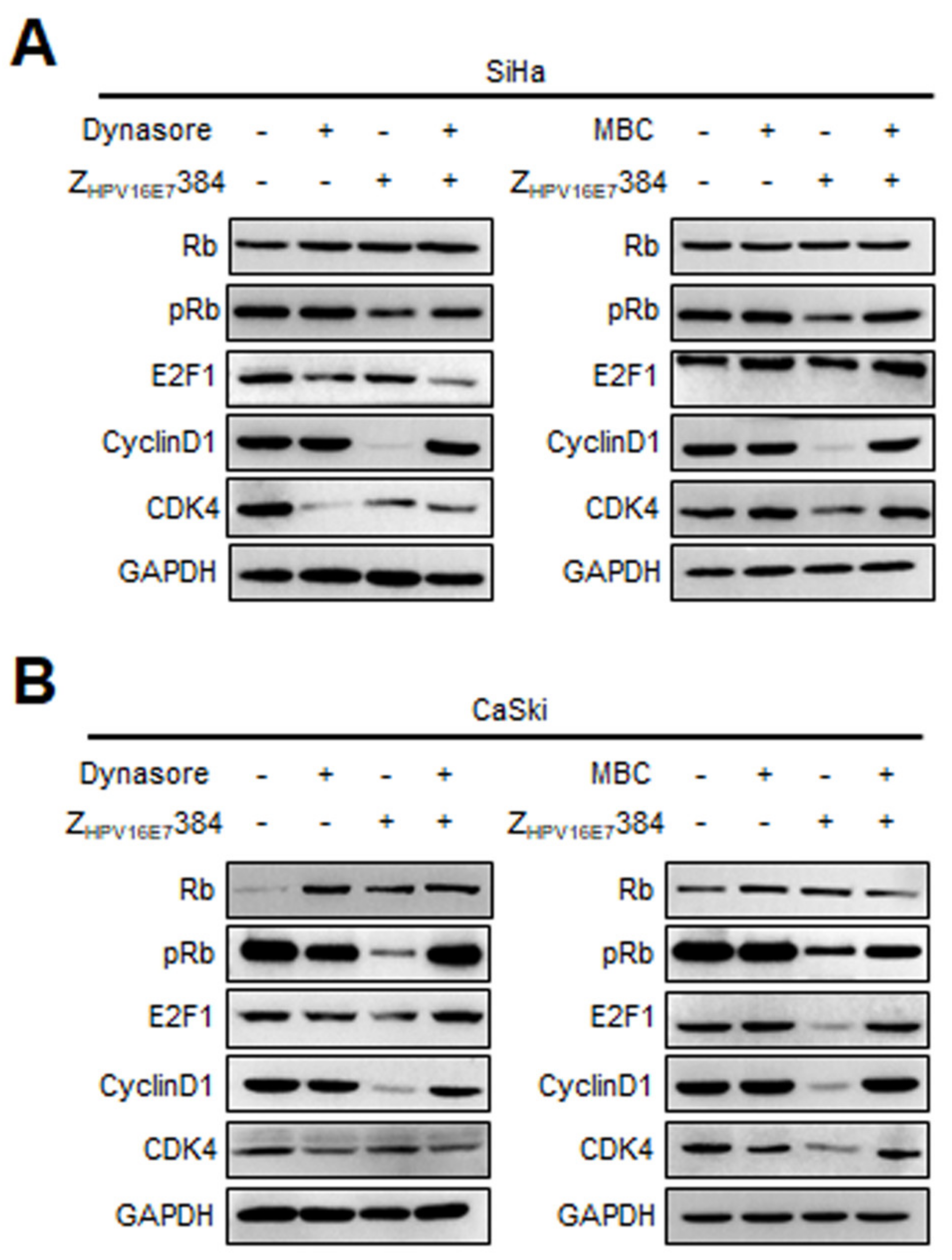 Biomolecules 12 01114 g008