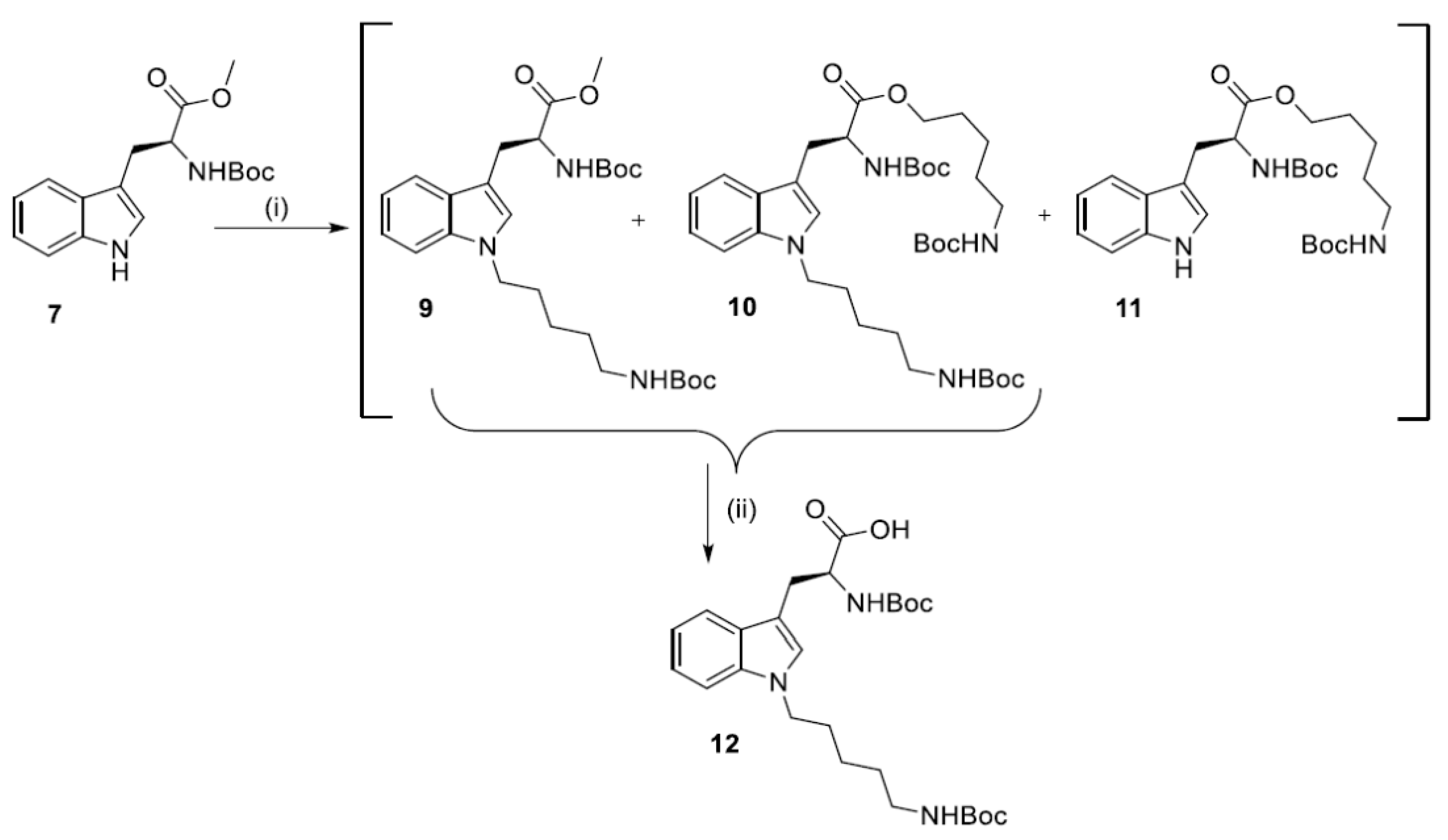 Biomolecules 12 01116 sch003 Biomolecules 12 01116 sch003