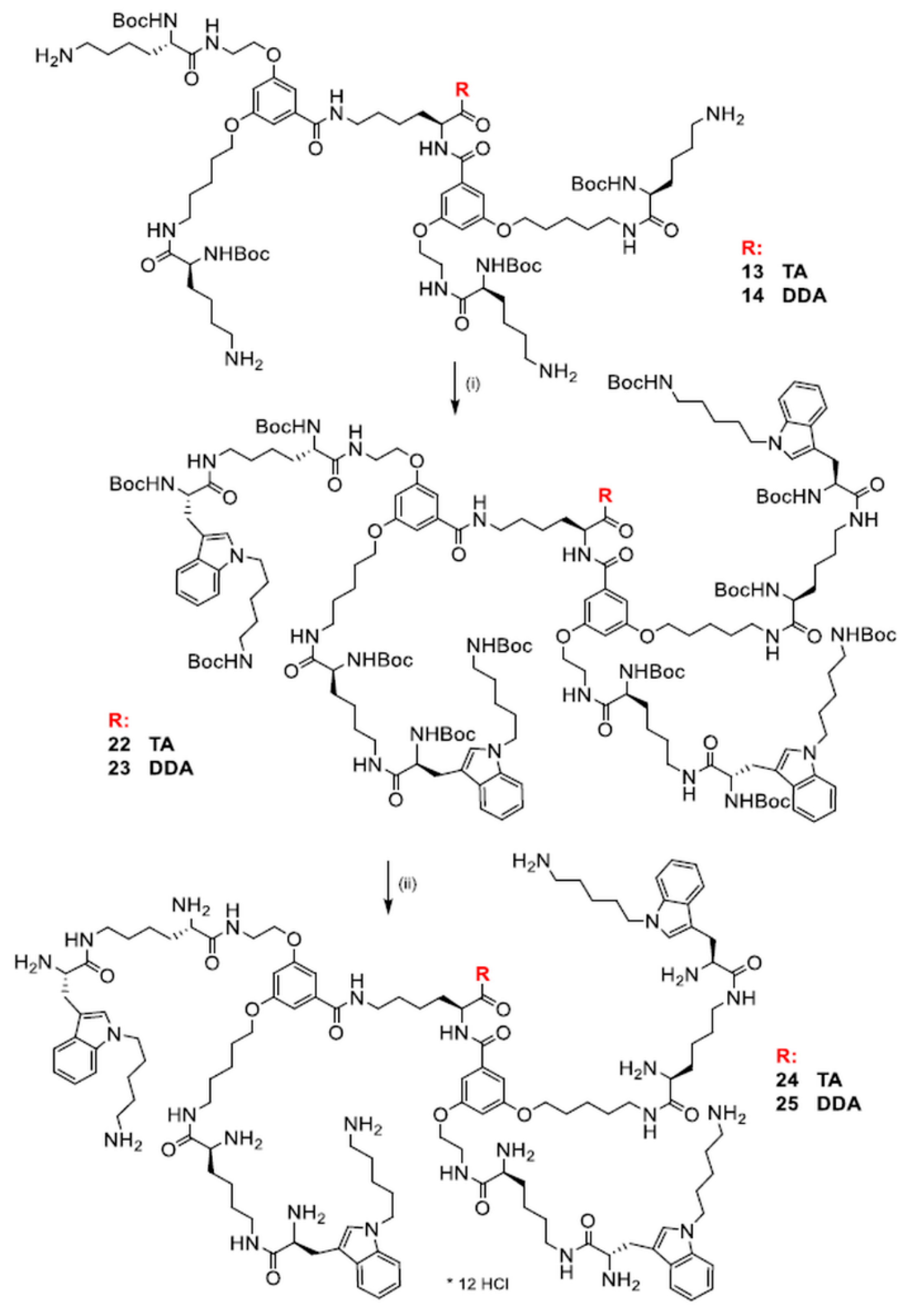 Biomolecules 12 01116 sch005 Biomolecules 12 01116 sch005