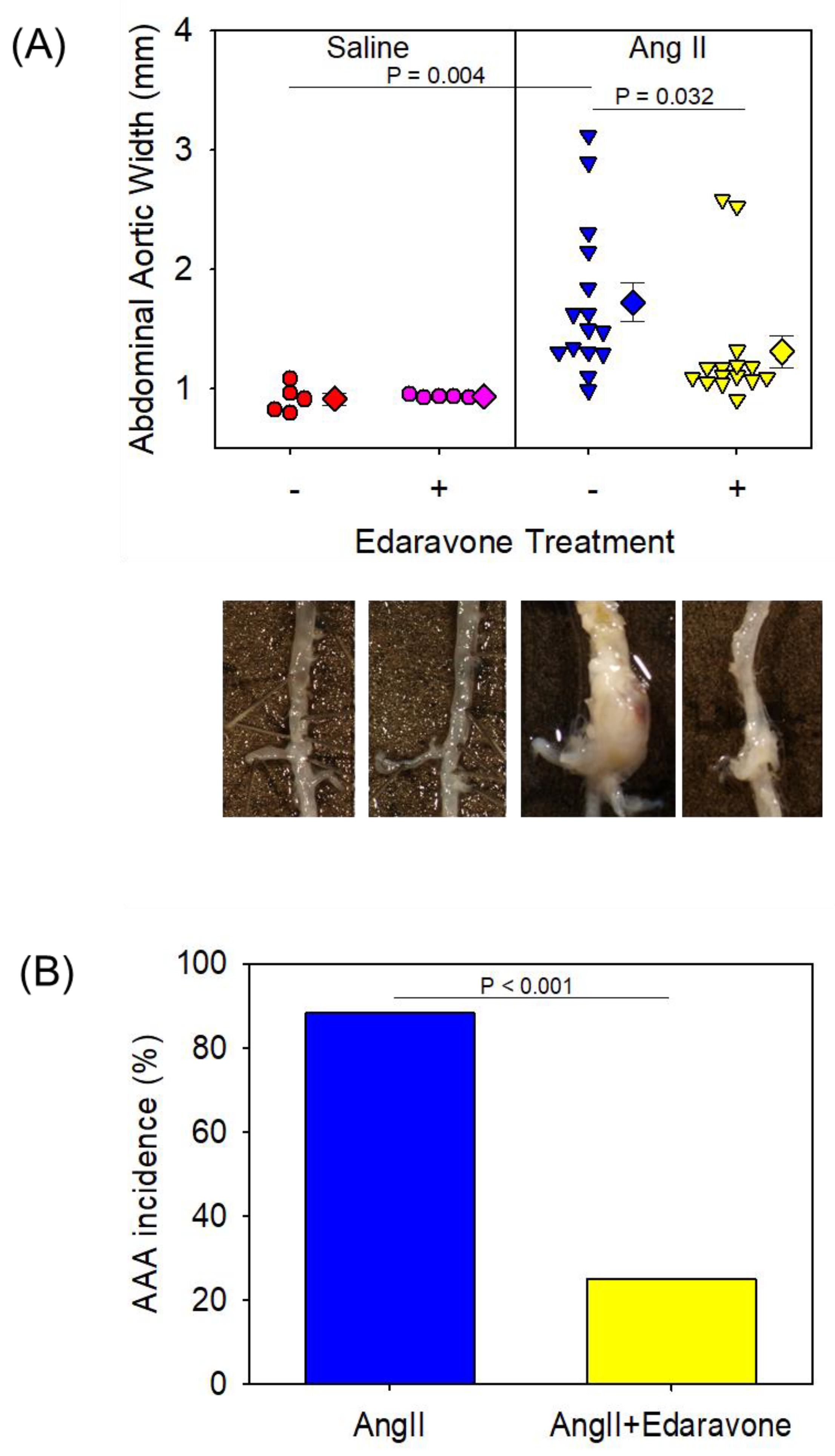 Biomolecules 12 01117 g001 Biomolecules 12 01117 g001