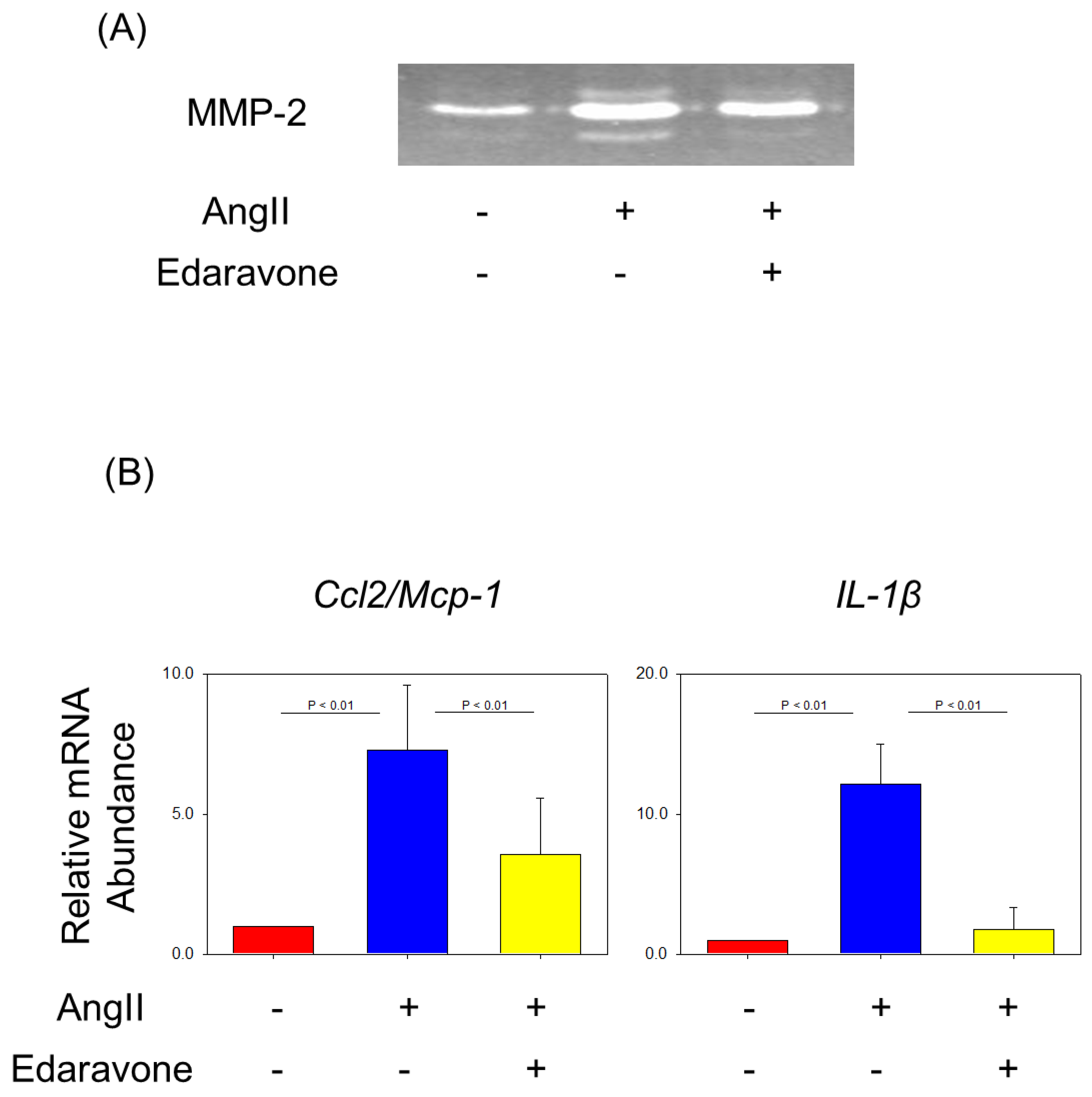 Biomolecules 12 01117 g004 Biomolecules 12 01117 g004