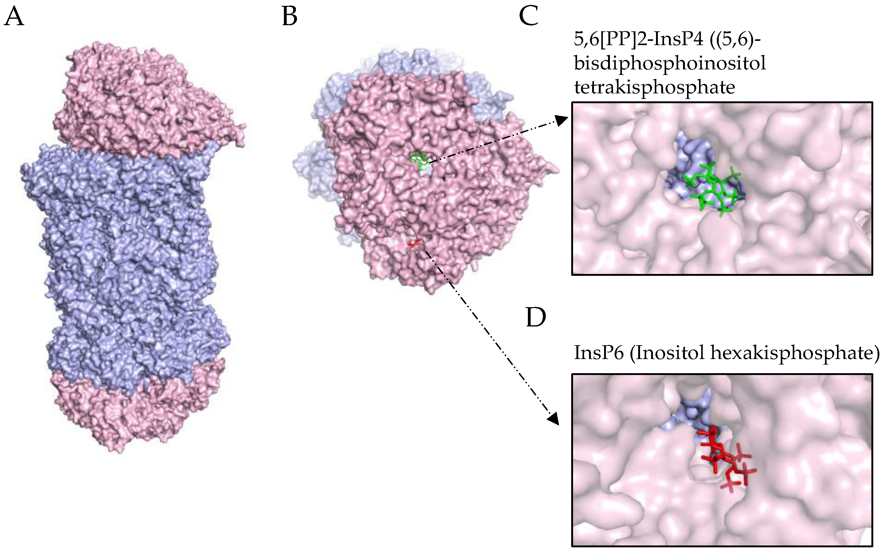 Biomolecules 12 01150 g002 Biomolecules 12 01150 g002