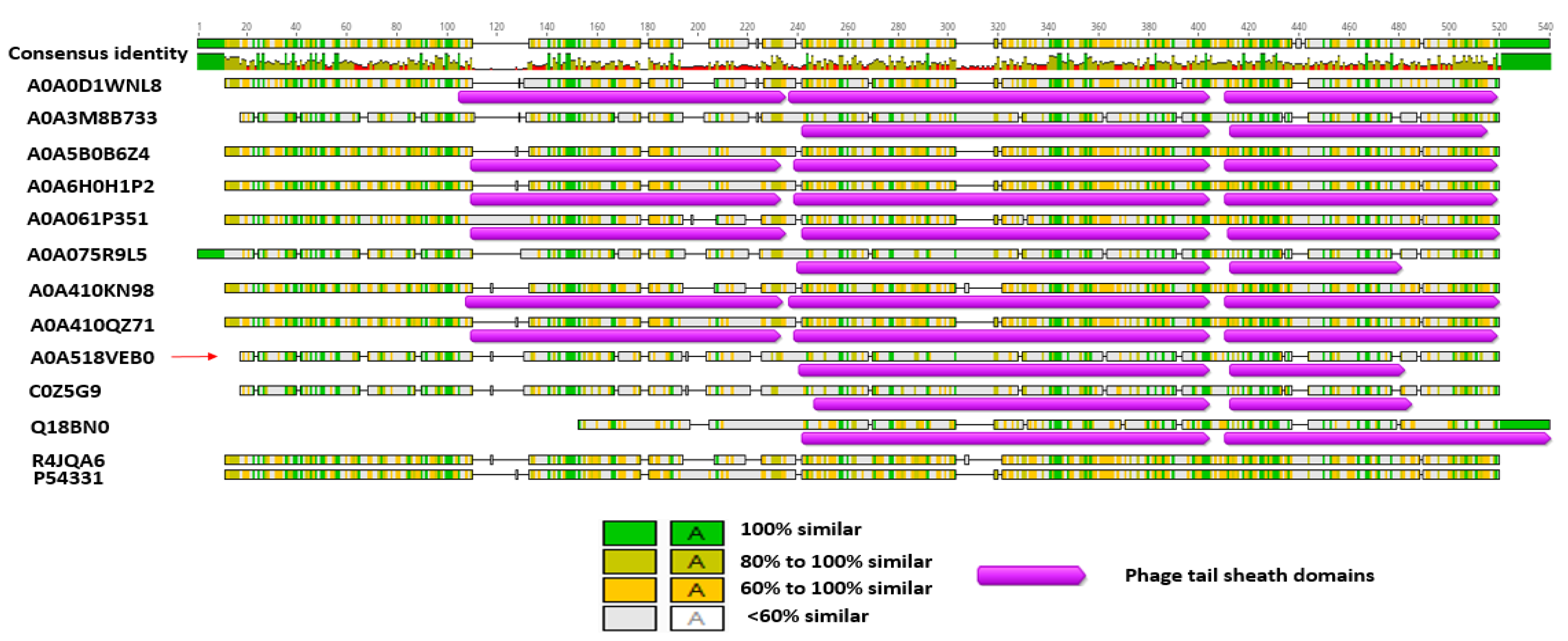 Biomolecules 12 01154 g005