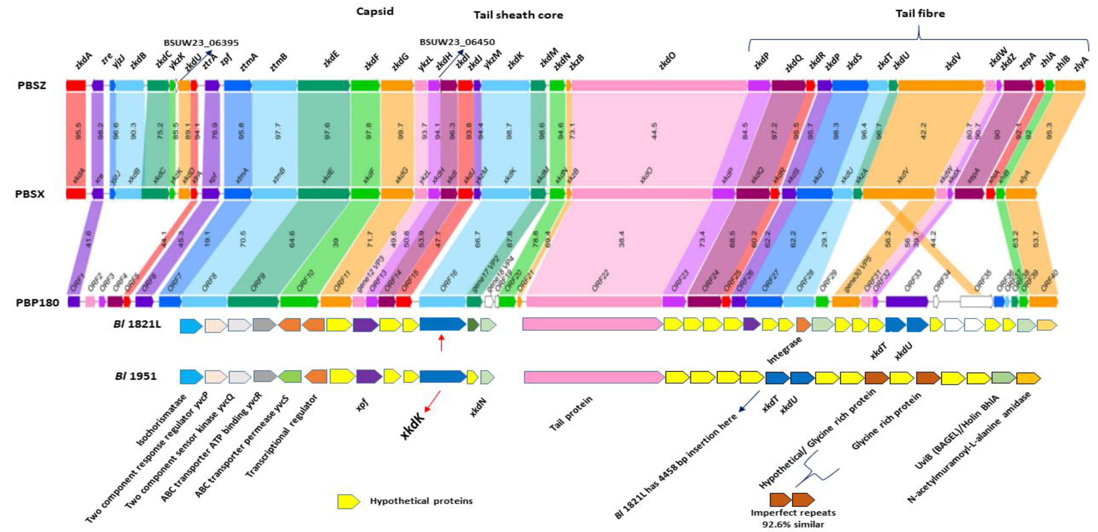 Biomolecules 12 01154 g008