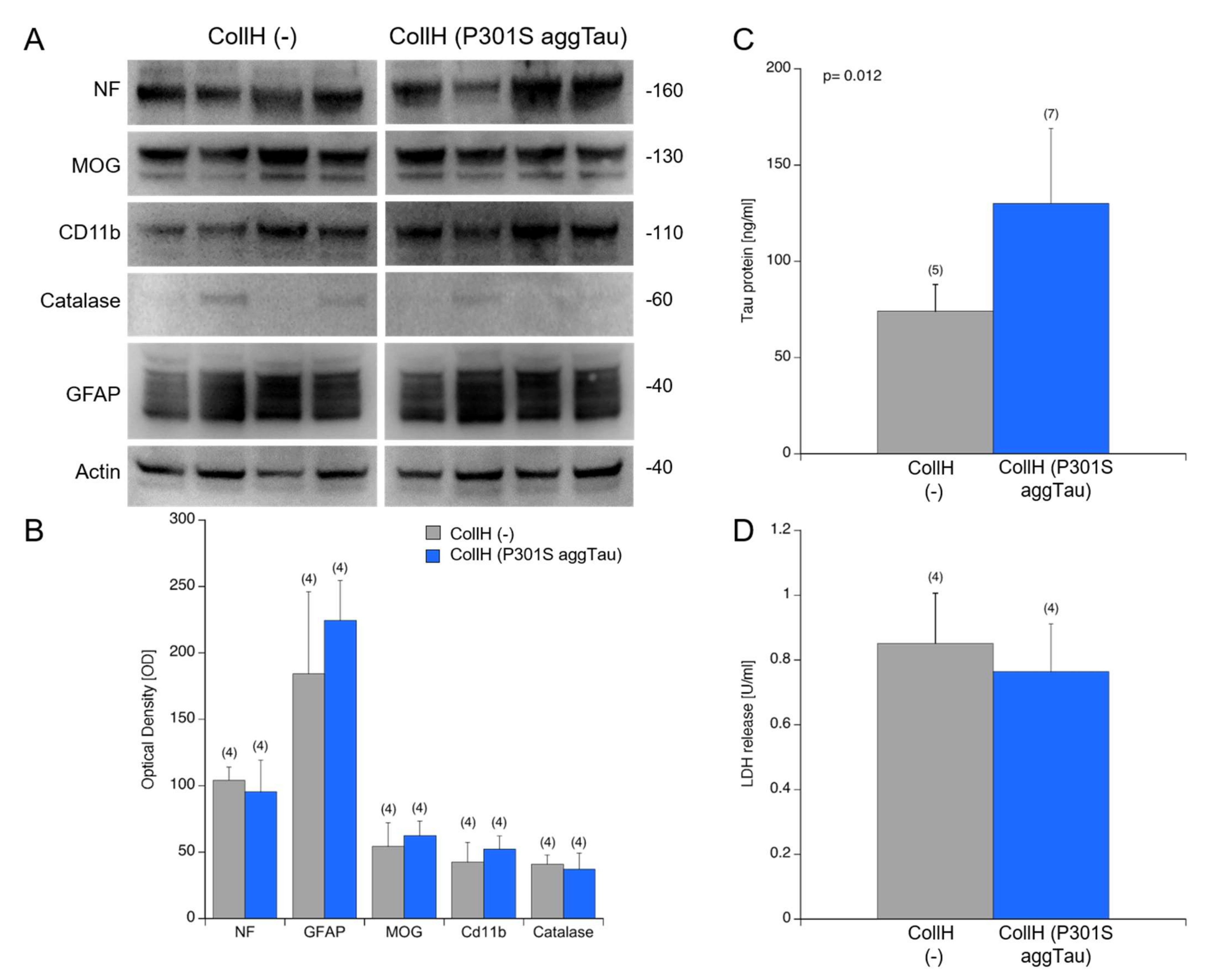 Biomolecules 12 01164 g004
