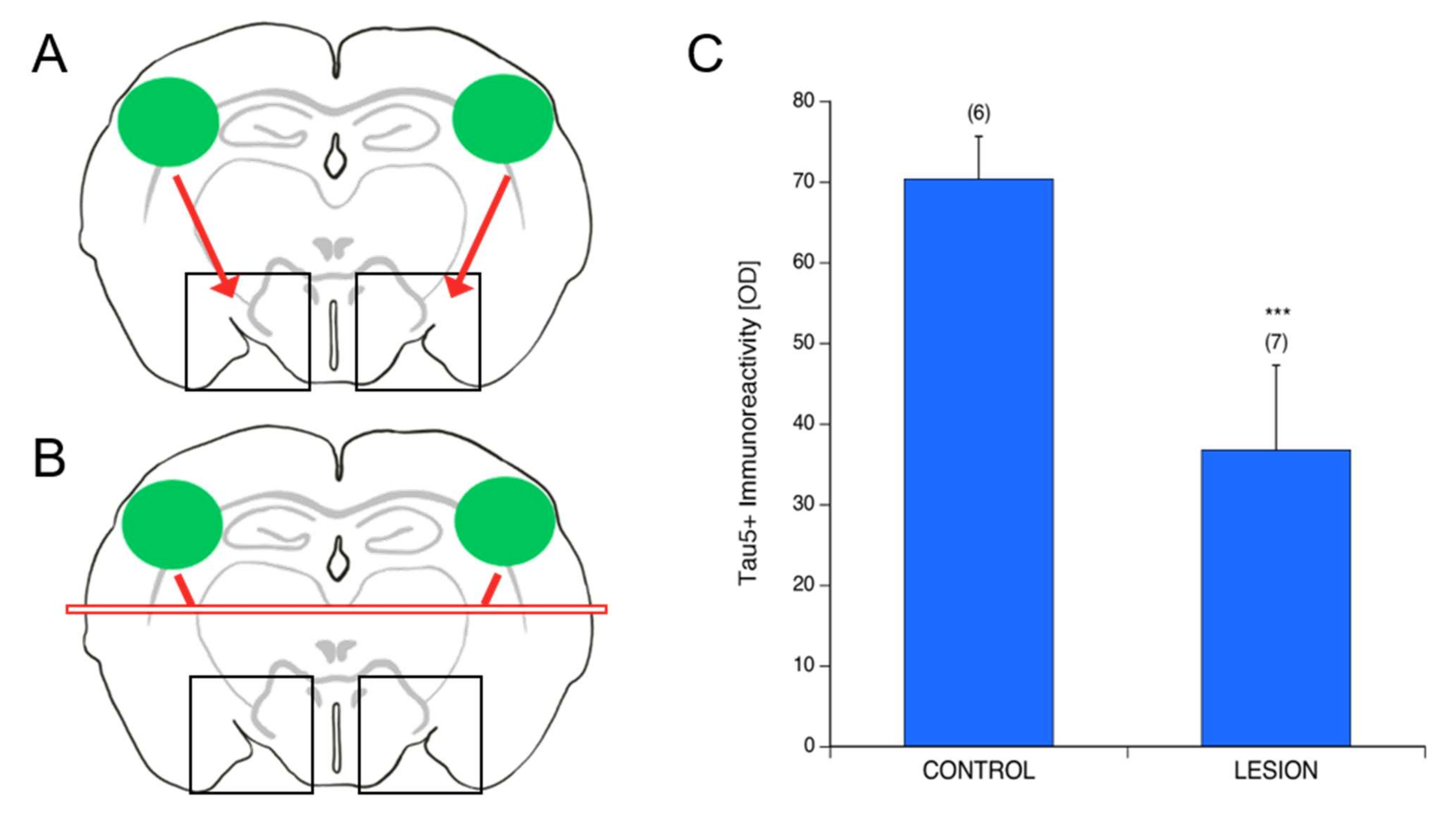 Biomolecules 12 01164 g006