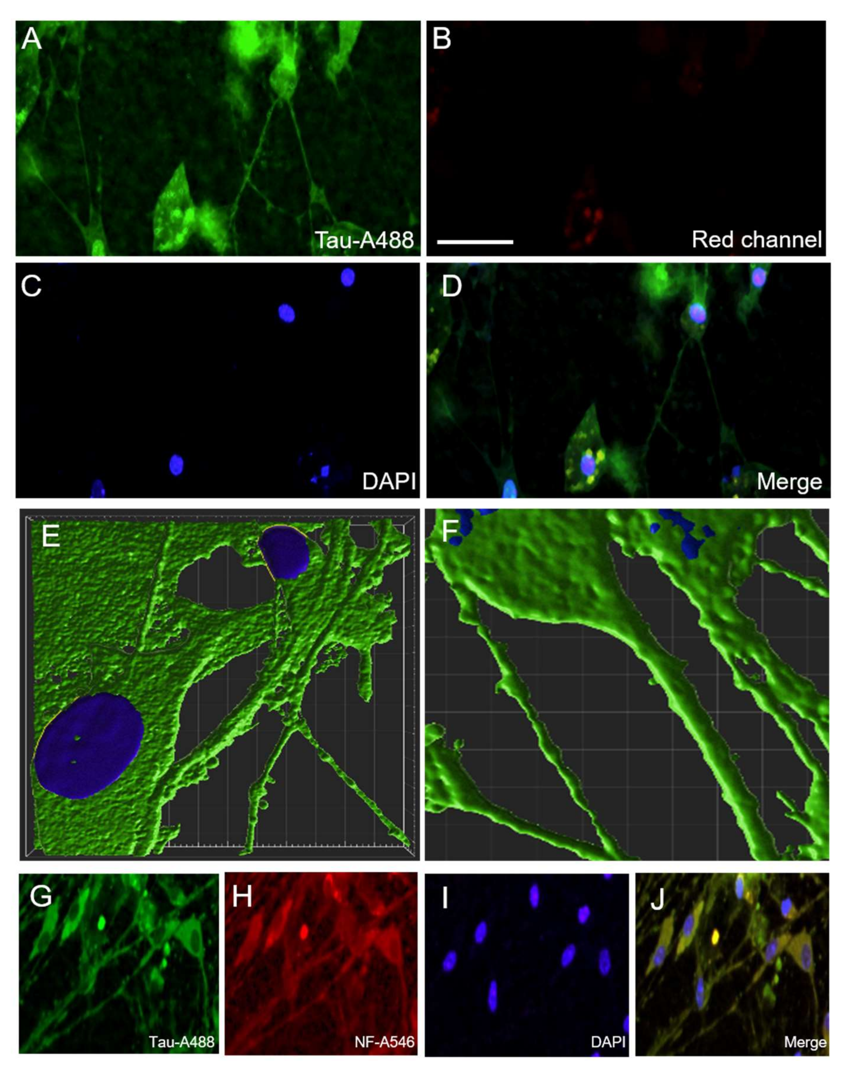 Biomolecules 12 01164 g007