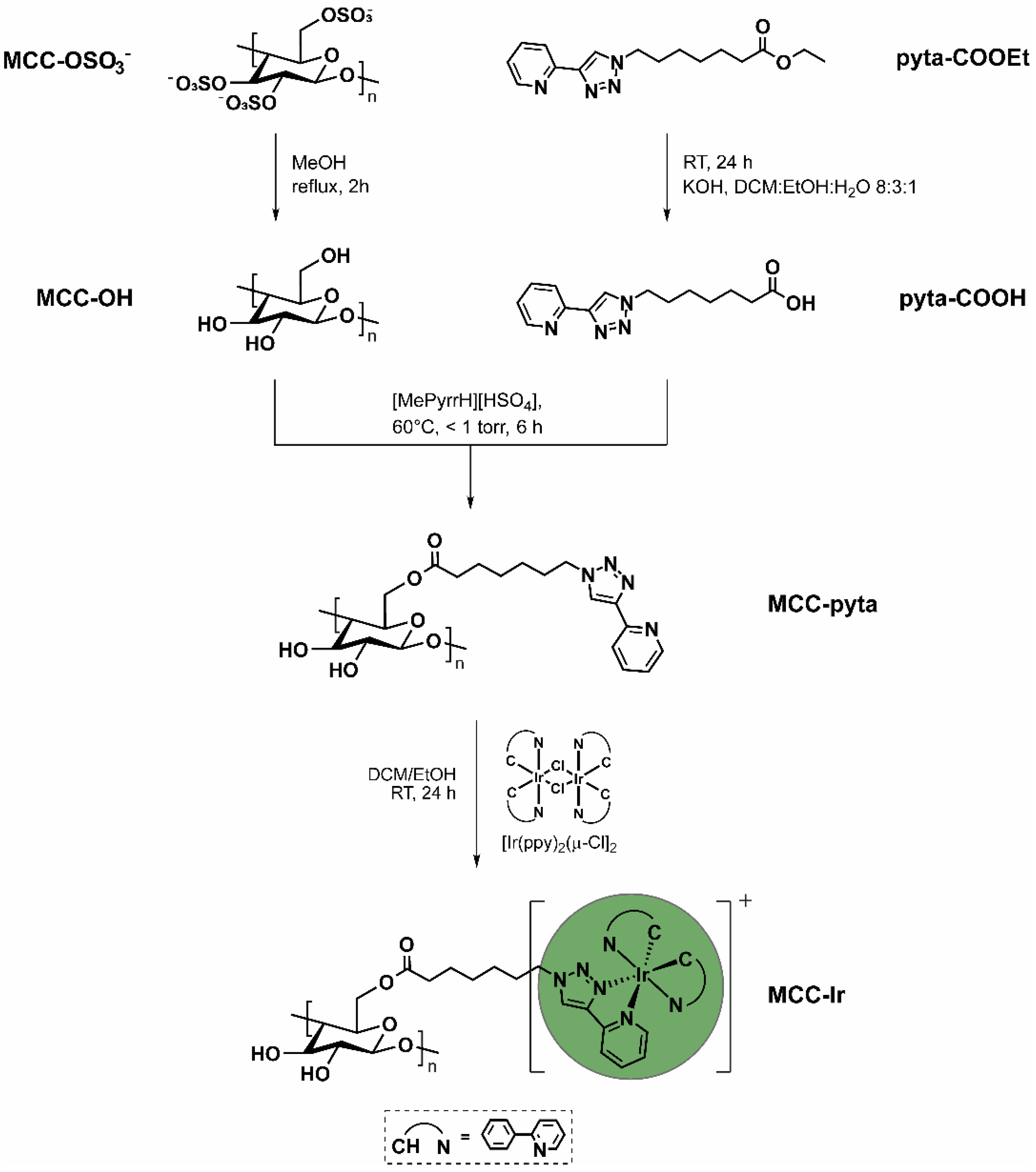 Biomolecules 12 01165 g001