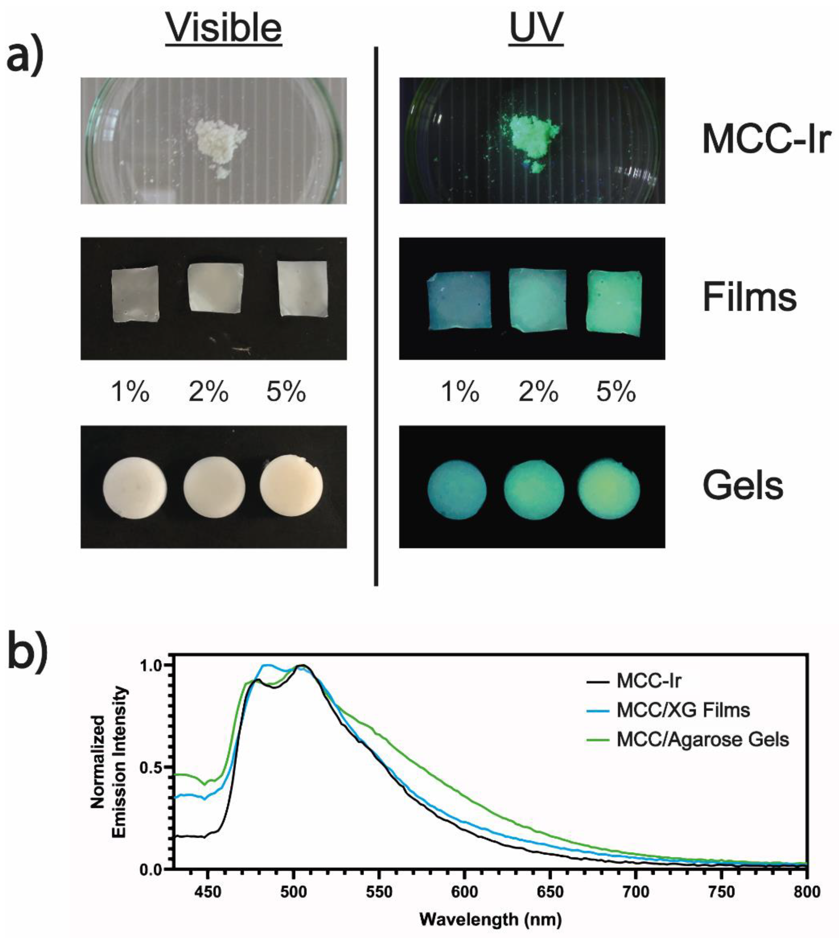 Biomolecules 12 01165 g006