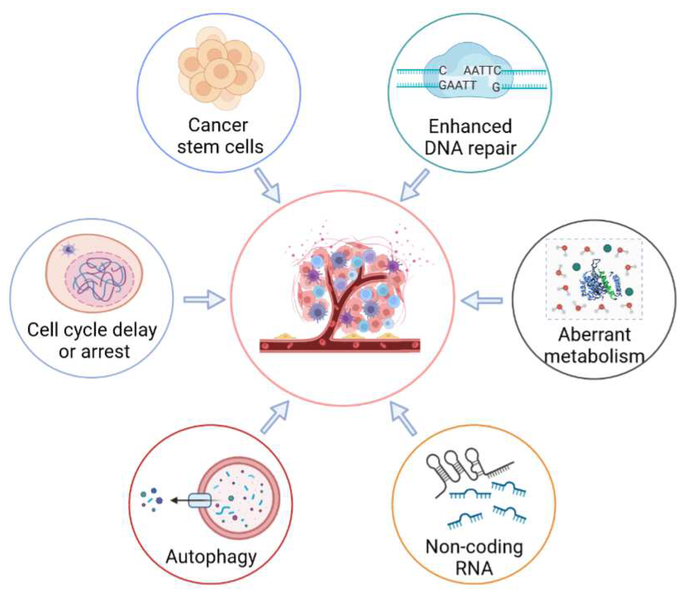 Biomolecules 12 01167 g002