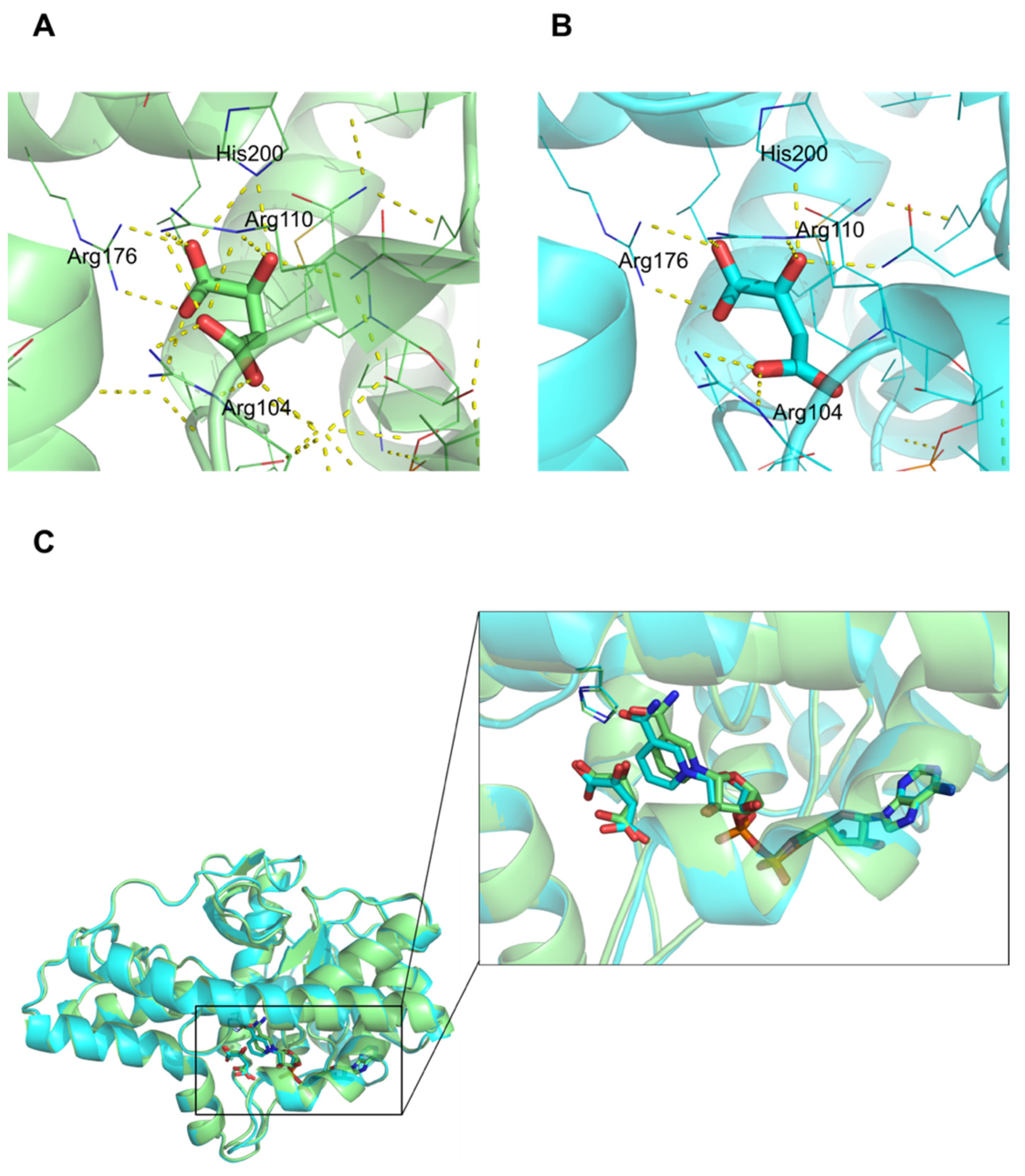 Biomolecules 12 01175 g003