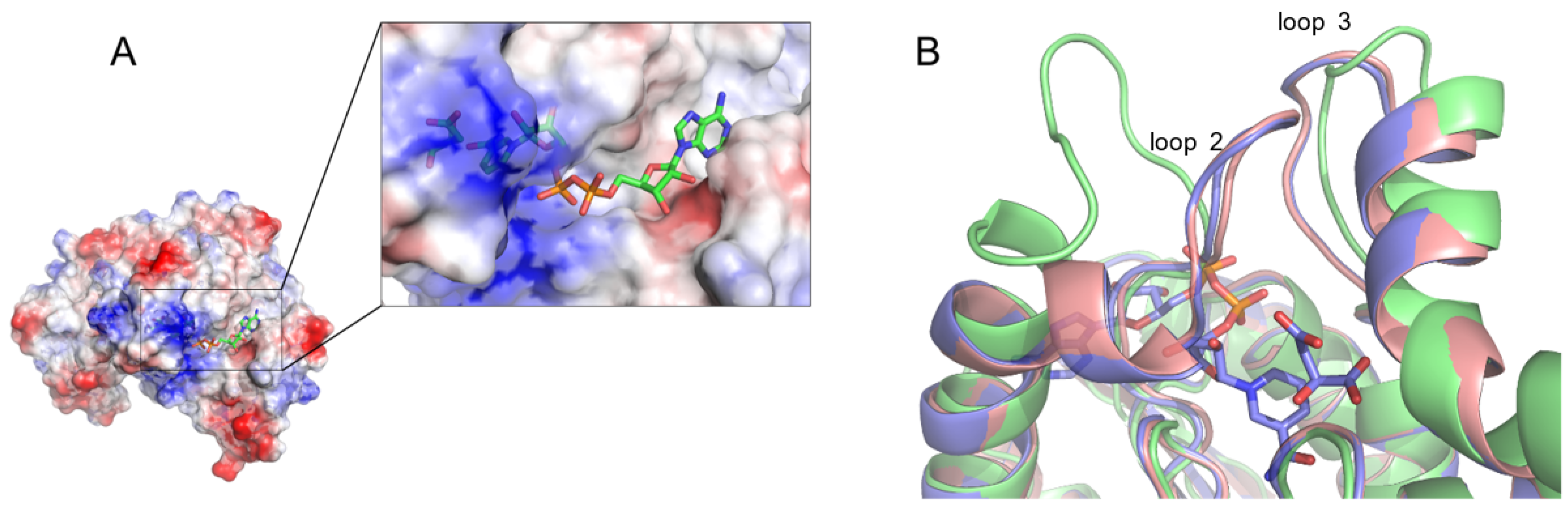 Biomolecules 12 01175 g005