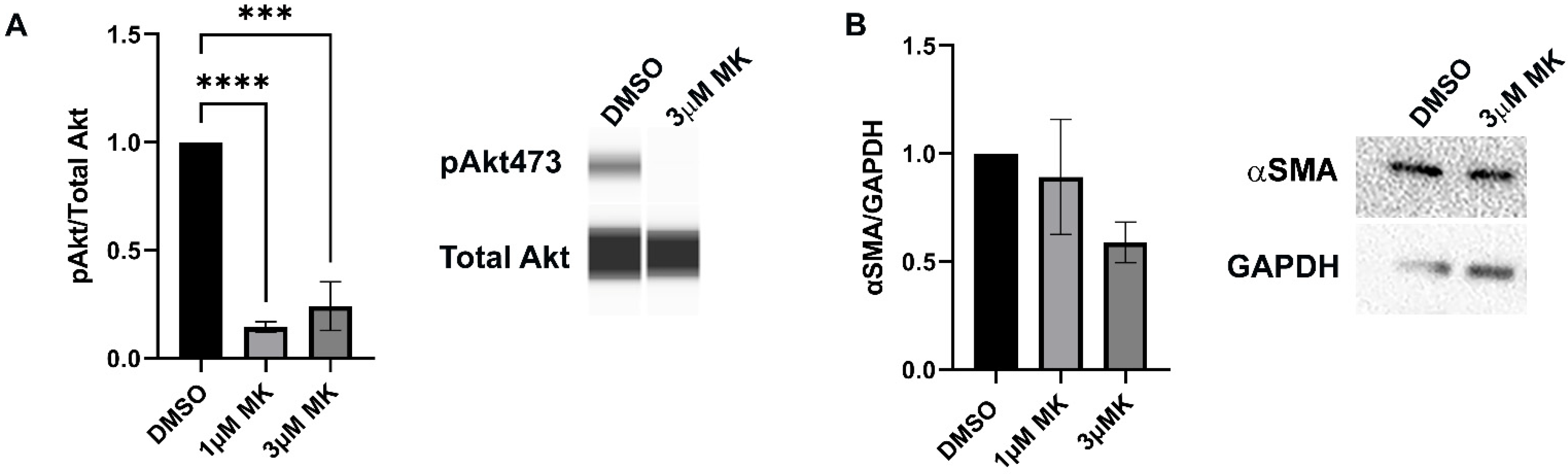 Biomolecules 12 01181 g003 Biomolecules 12 01181 g003