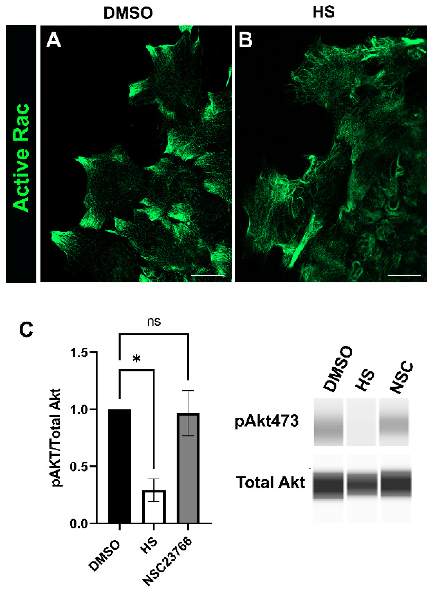 Biomolecules 12 01181 g005 Biomolecules 12 01181 g005