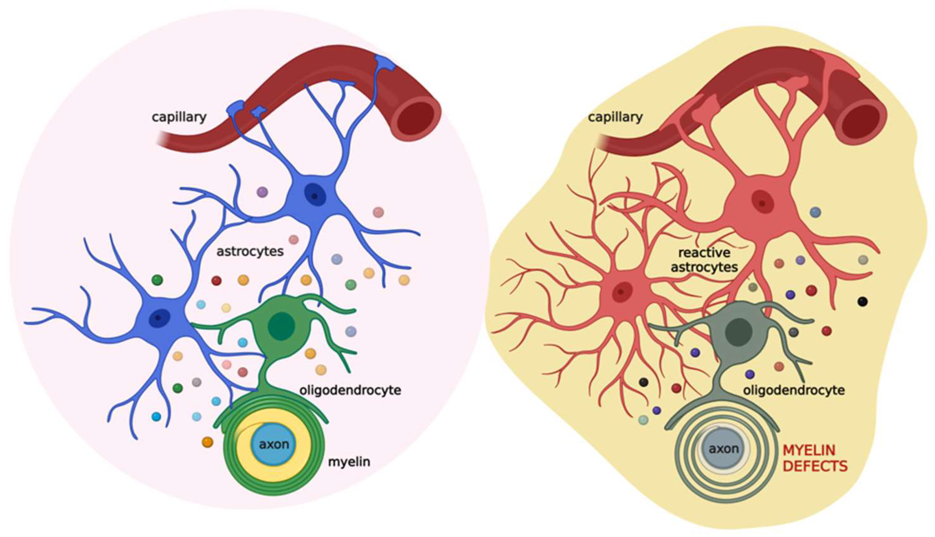 Biomolecules 12 01191 g003 Biomolecules 12 01191 g003