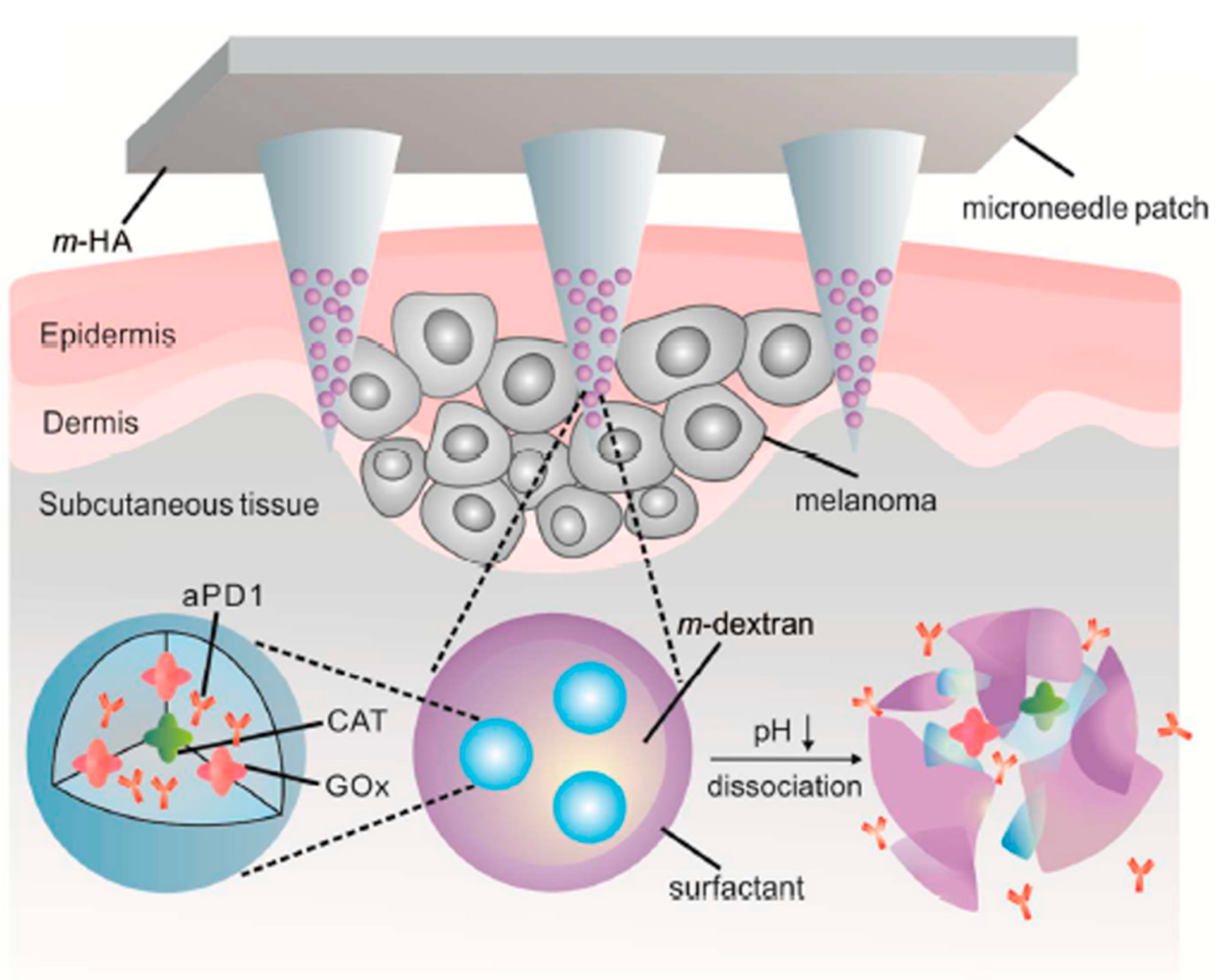 Biomolecules 12 01198 g003