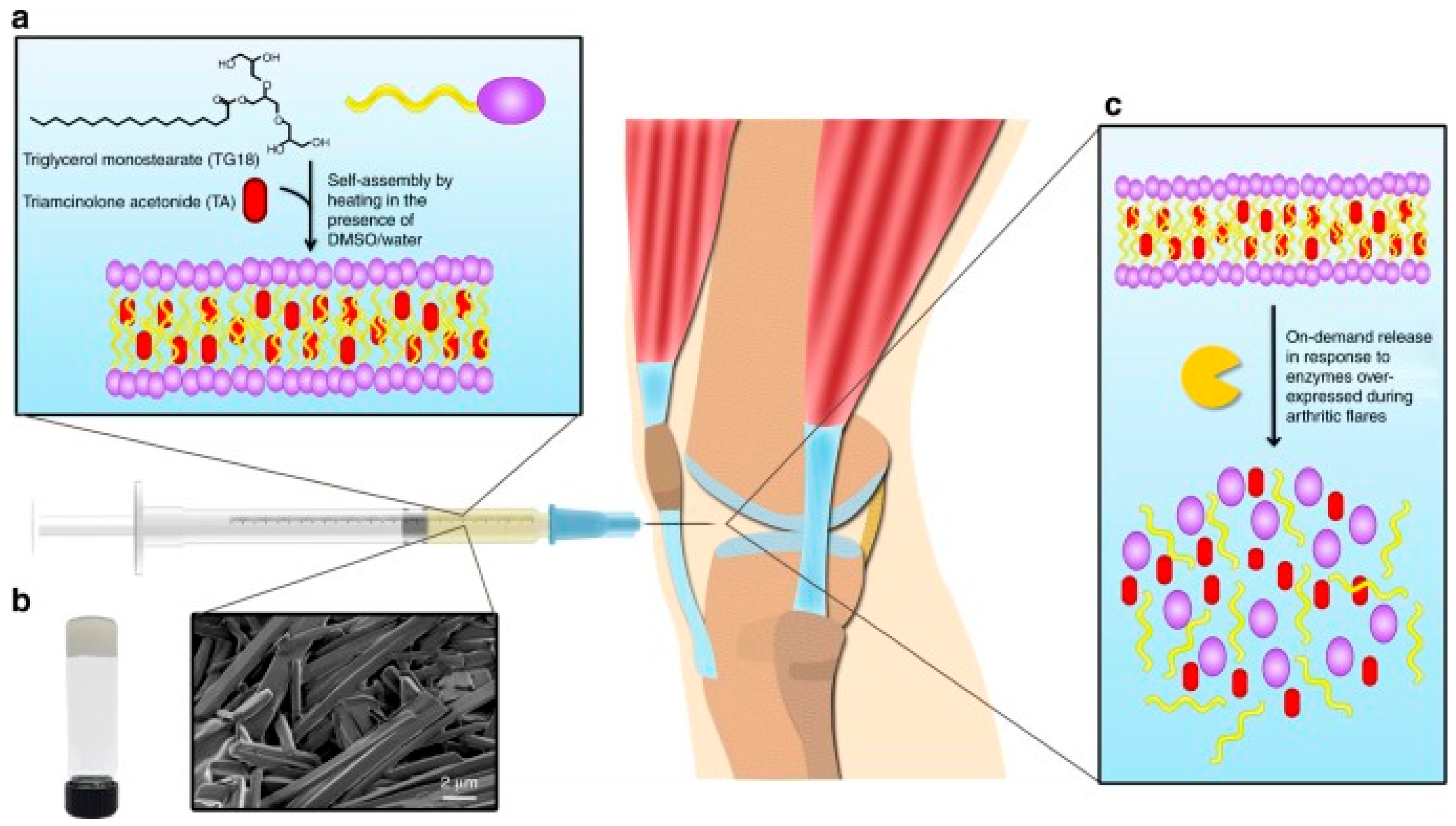 Biomolecules 12 01198 g007