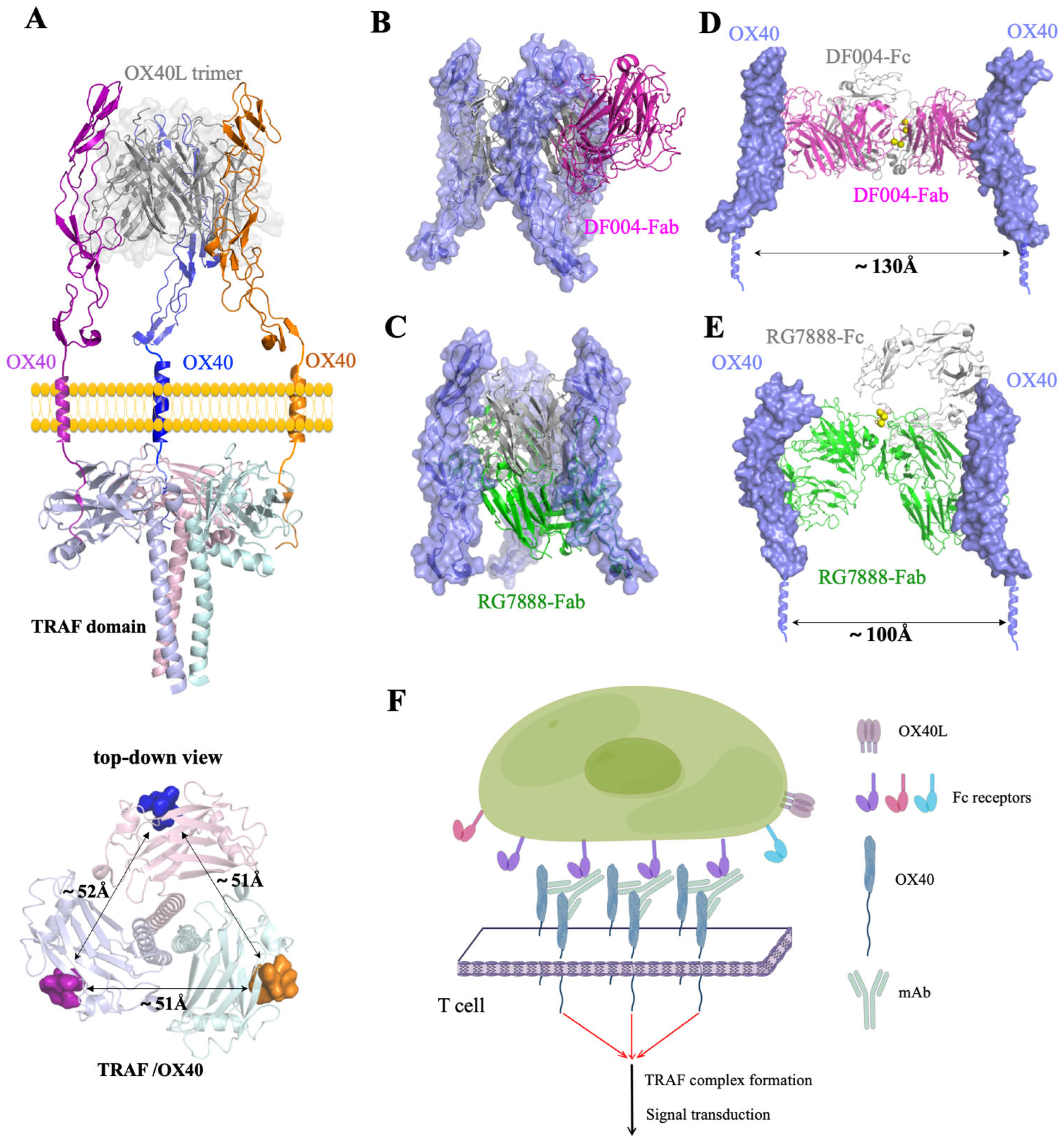 Biomolecules 12 01209 g004