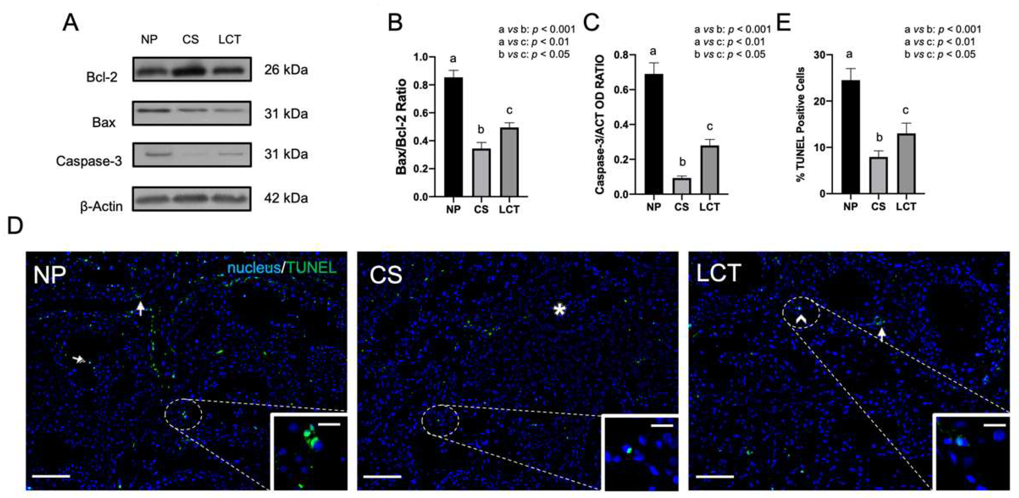 Biomolecules 12 01210 g002 Biomolecules 12 01210 g002