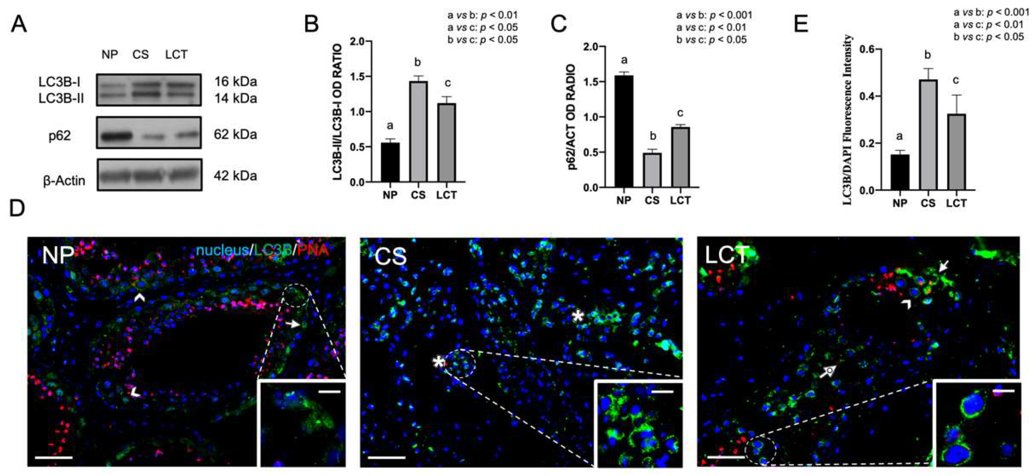 Biomolecules 12 01210 g003 Biomolecules 12 01210 g003