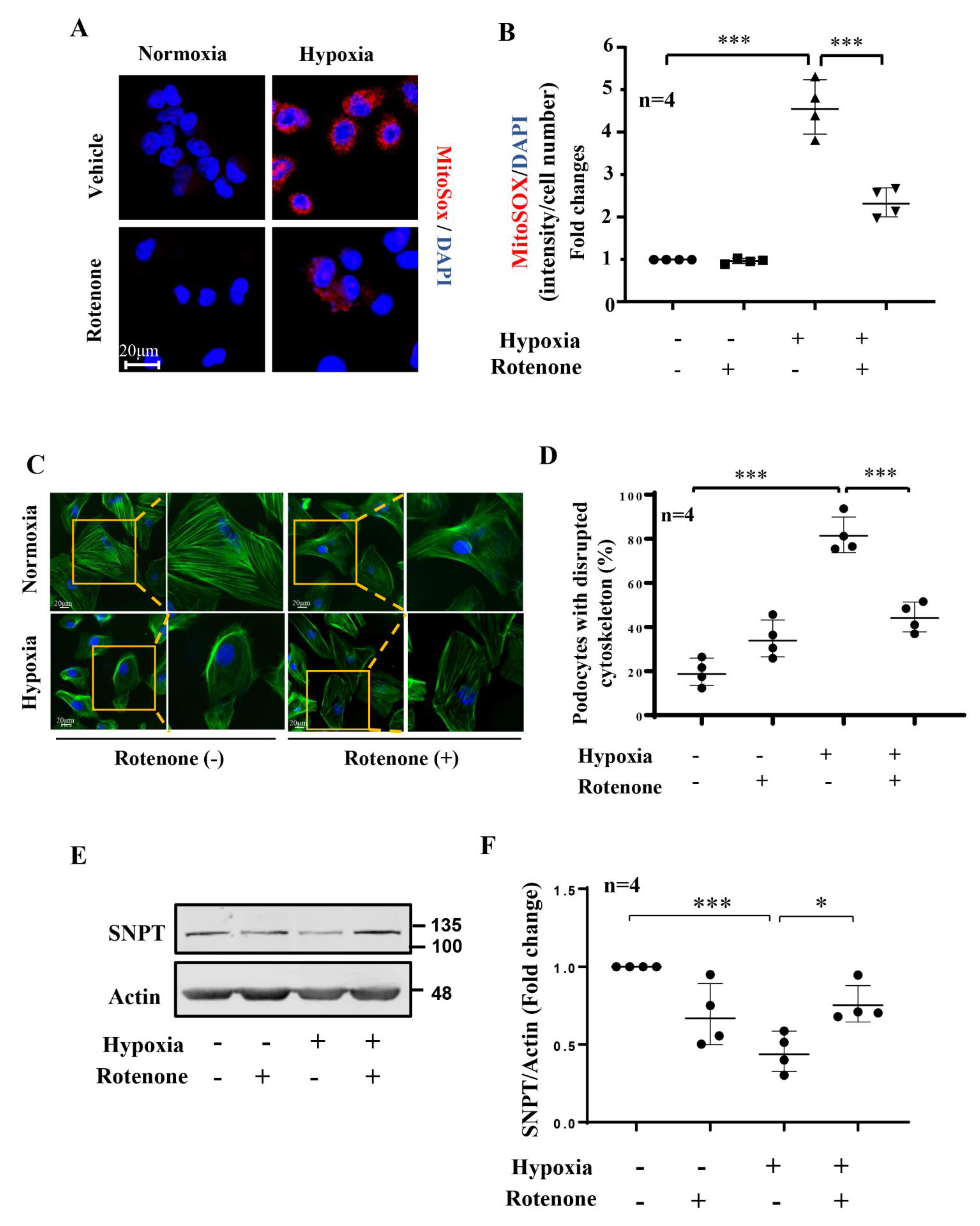 Biomolecules 12 01213 g005 Biomolecules 12 01213 g005