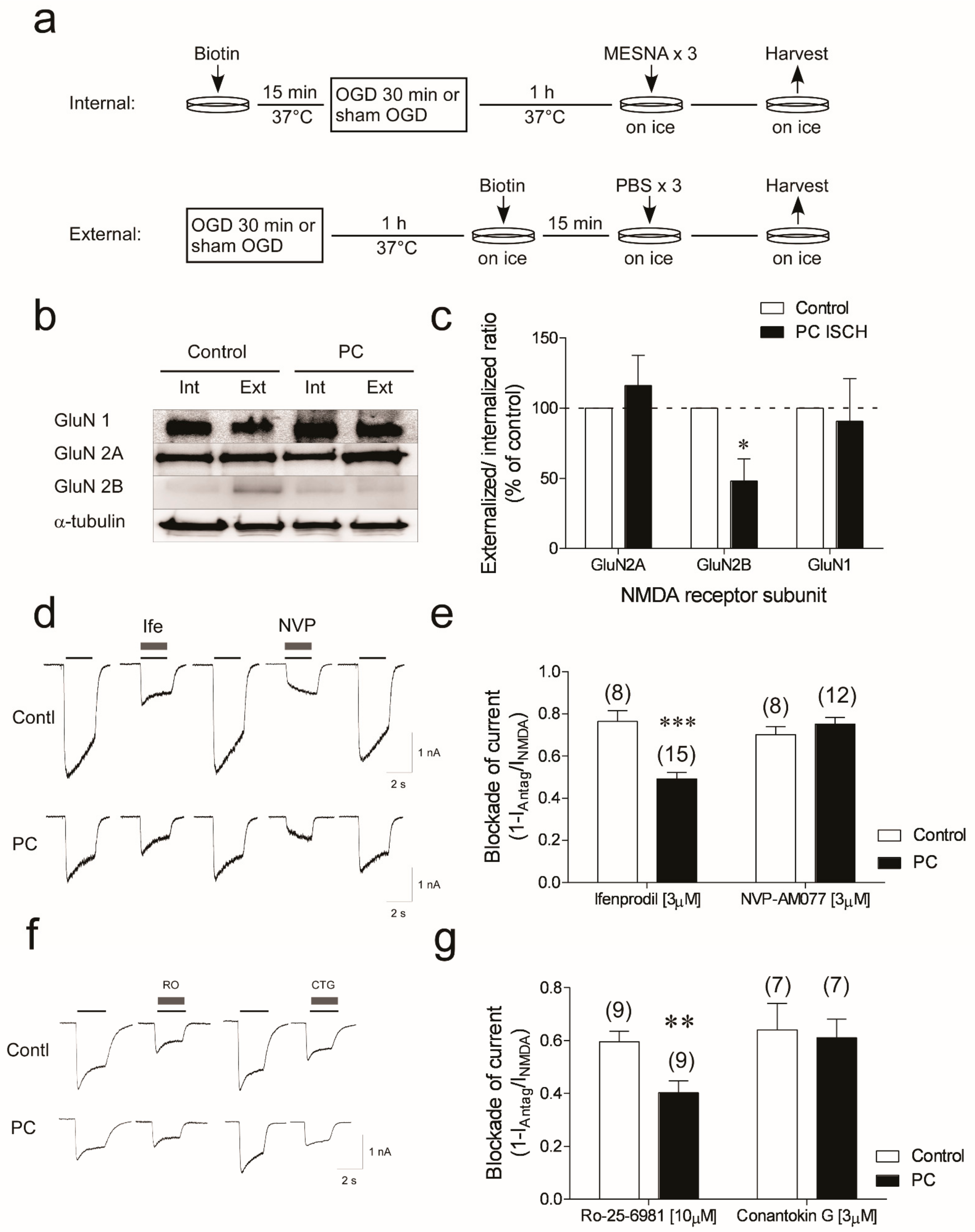 Biomolecules 12 01214 g003