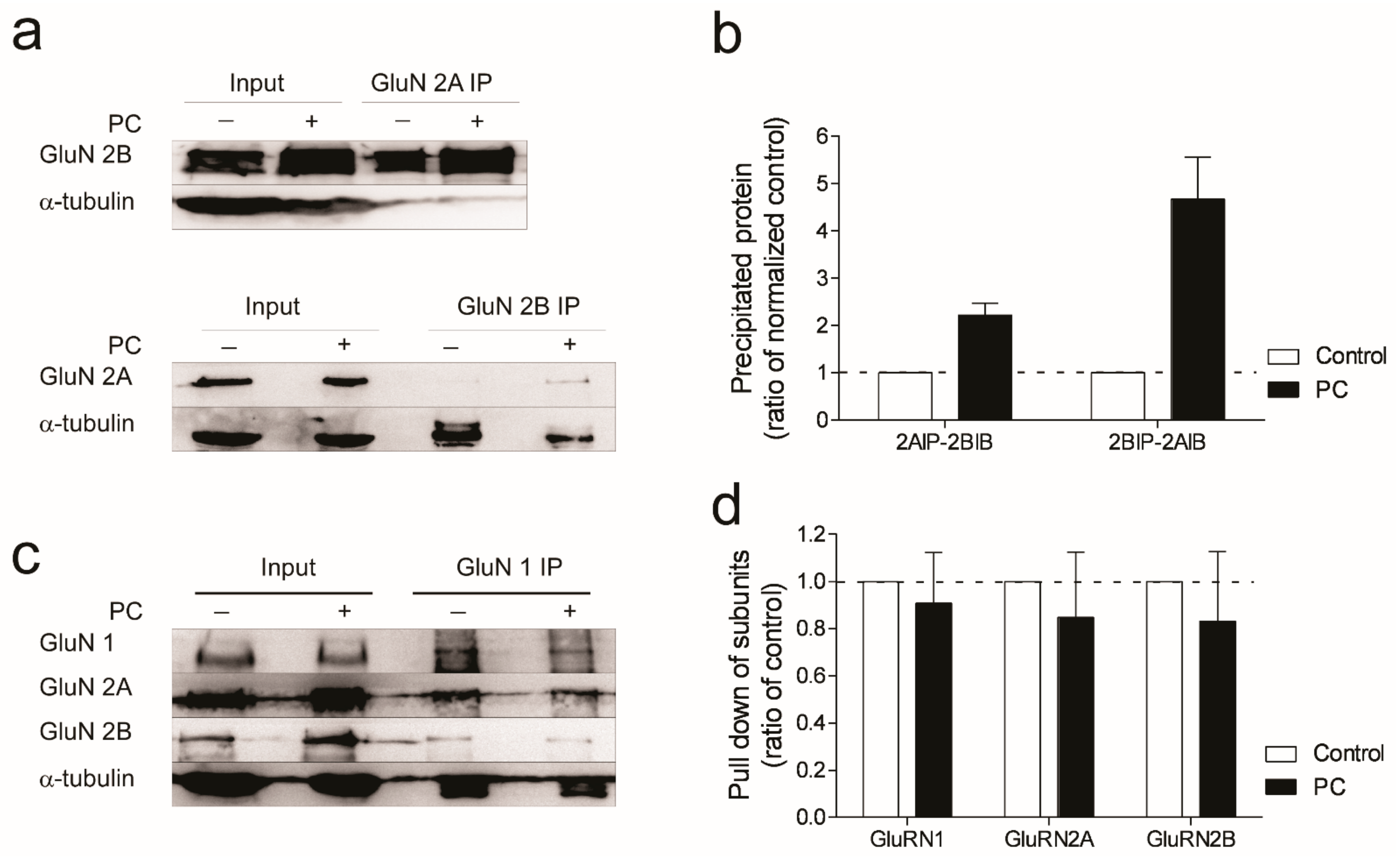 Biomolecules 12 01214 g004