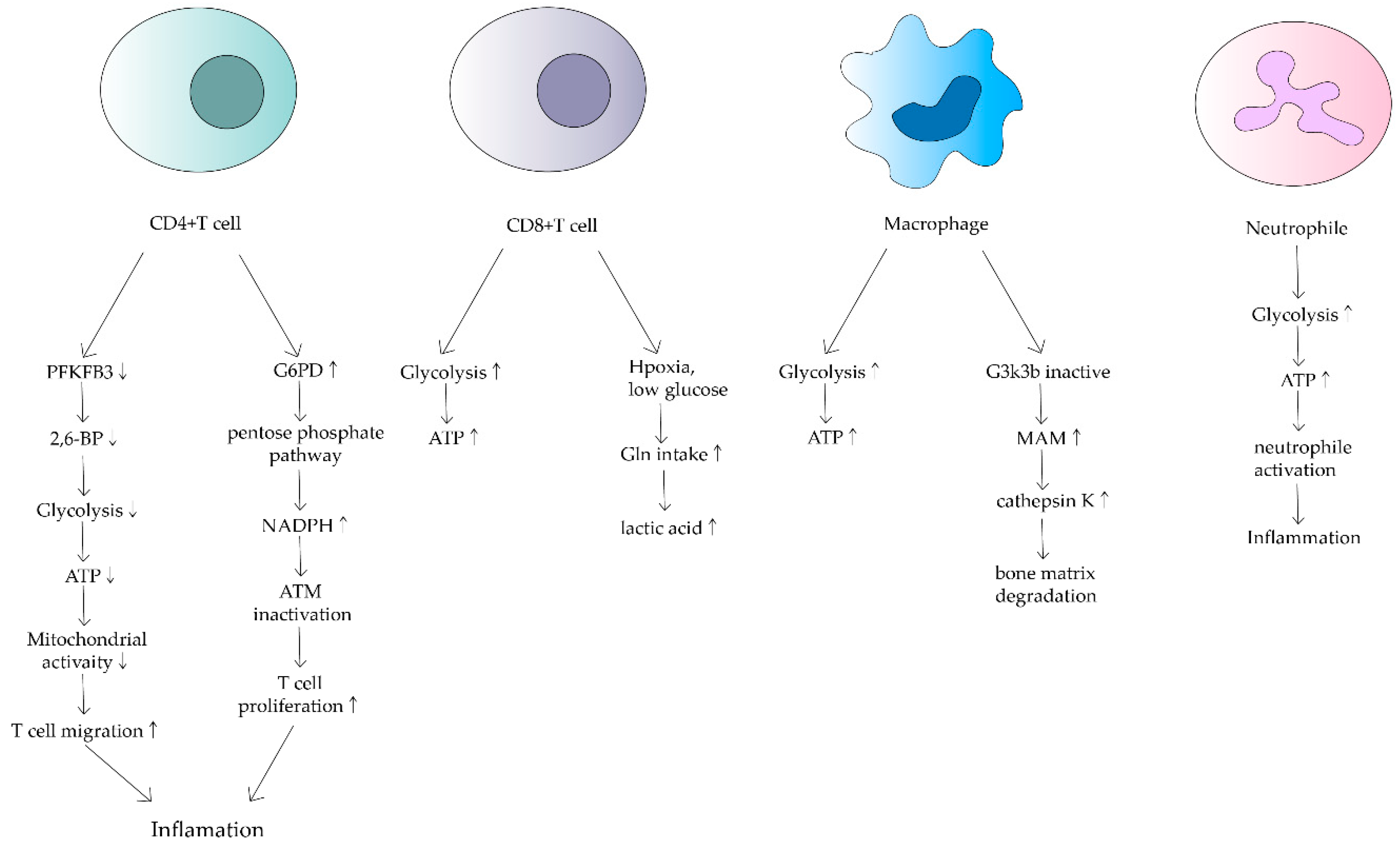 Biomolecules 12 01216 g002
