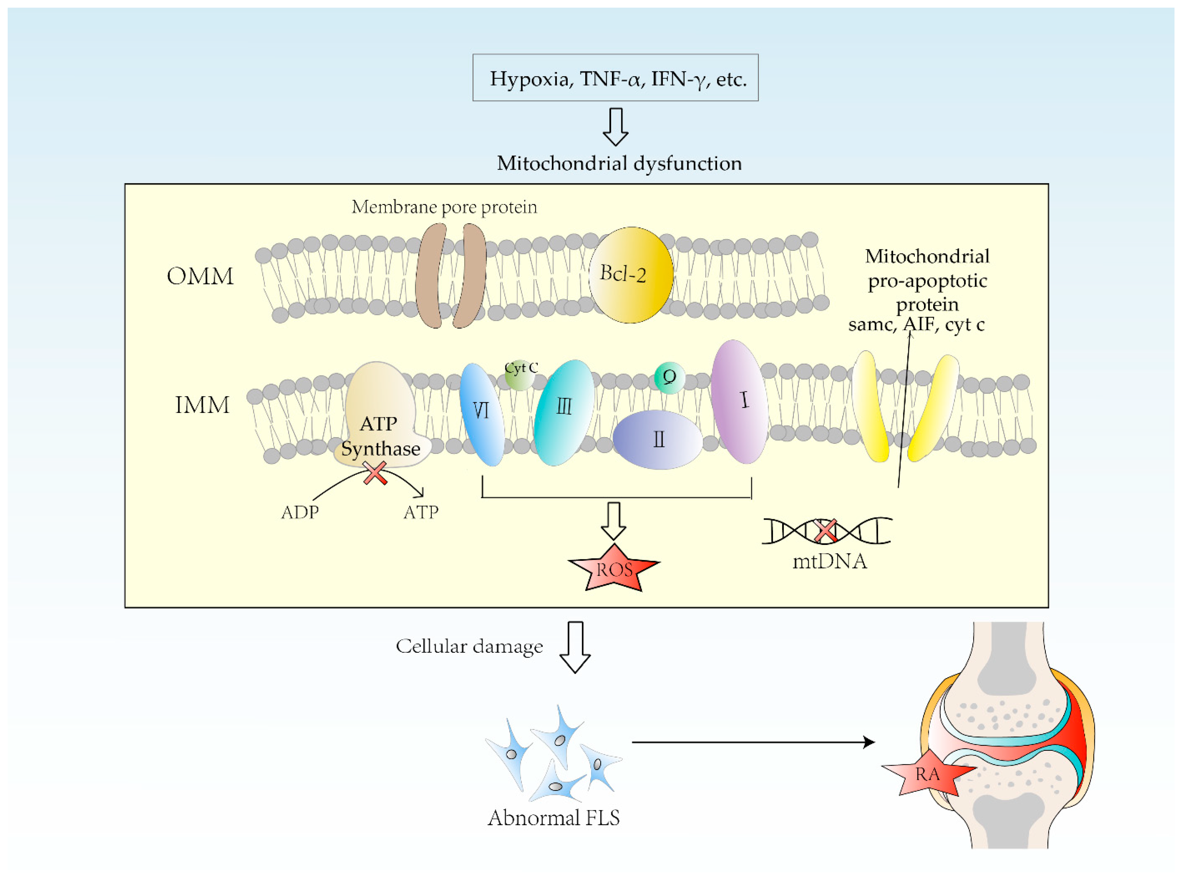Biomolecules 12 01216 g003