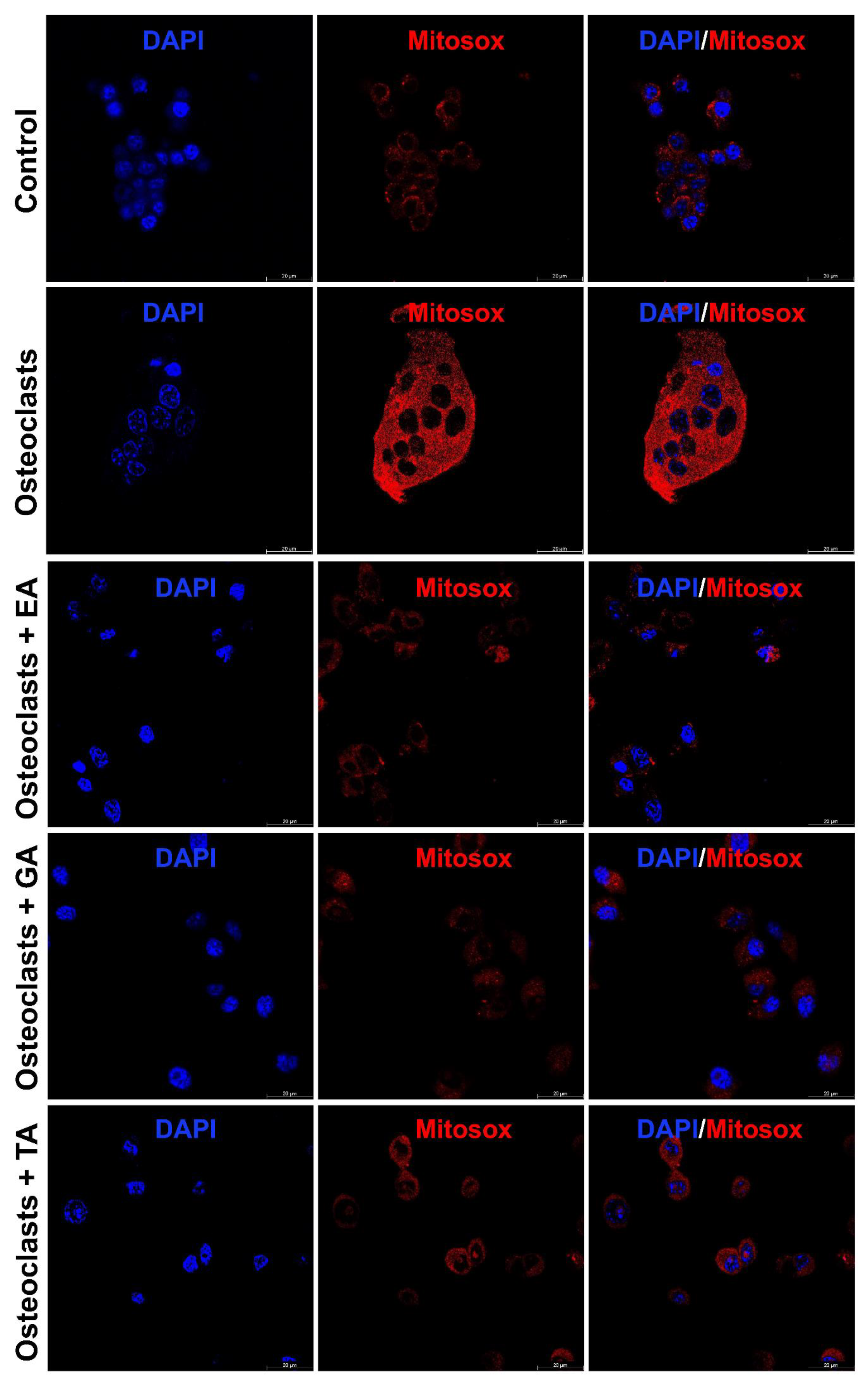 Biomolecules 12 01220 g006