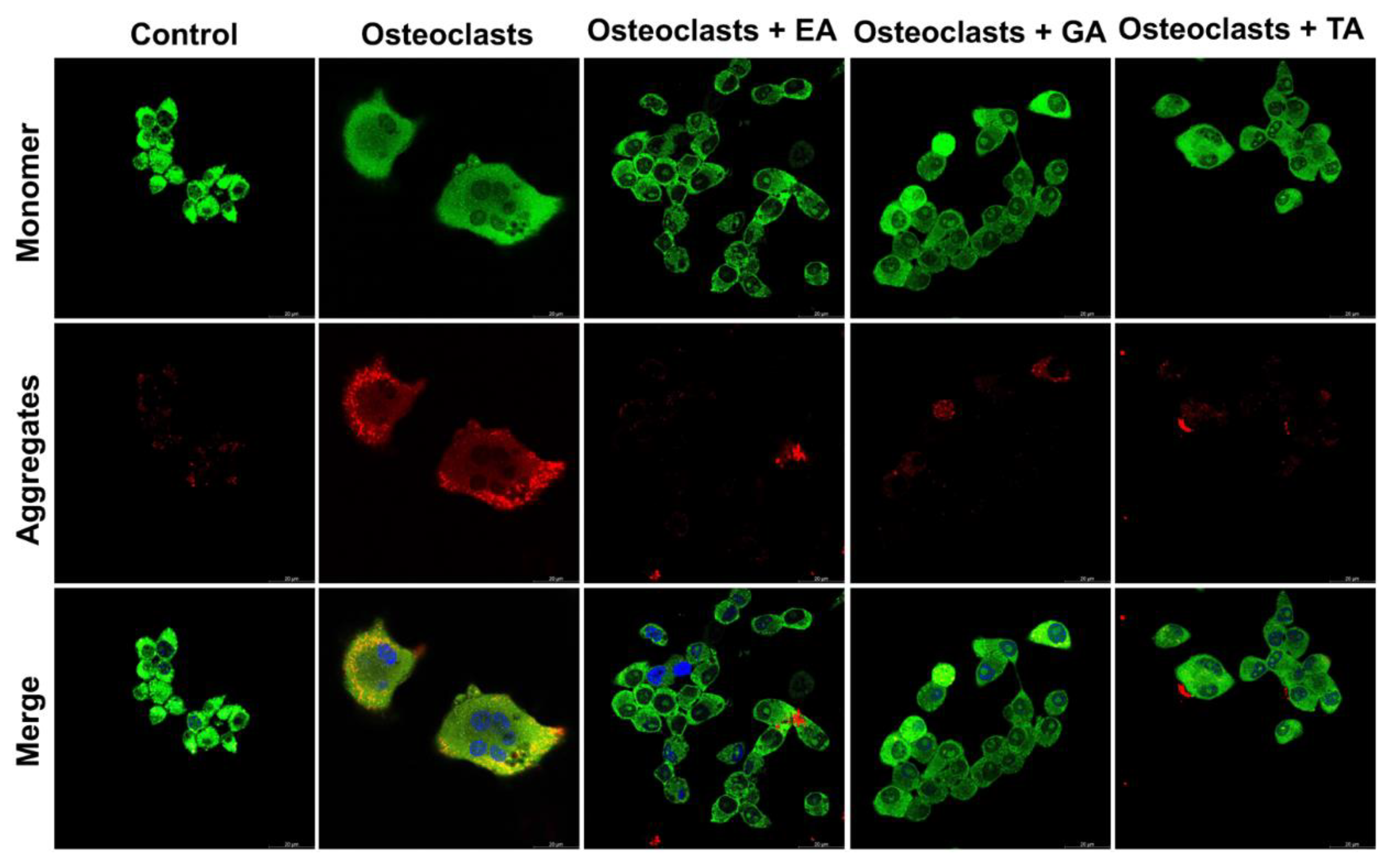 Biomolecules 12 01220 g008