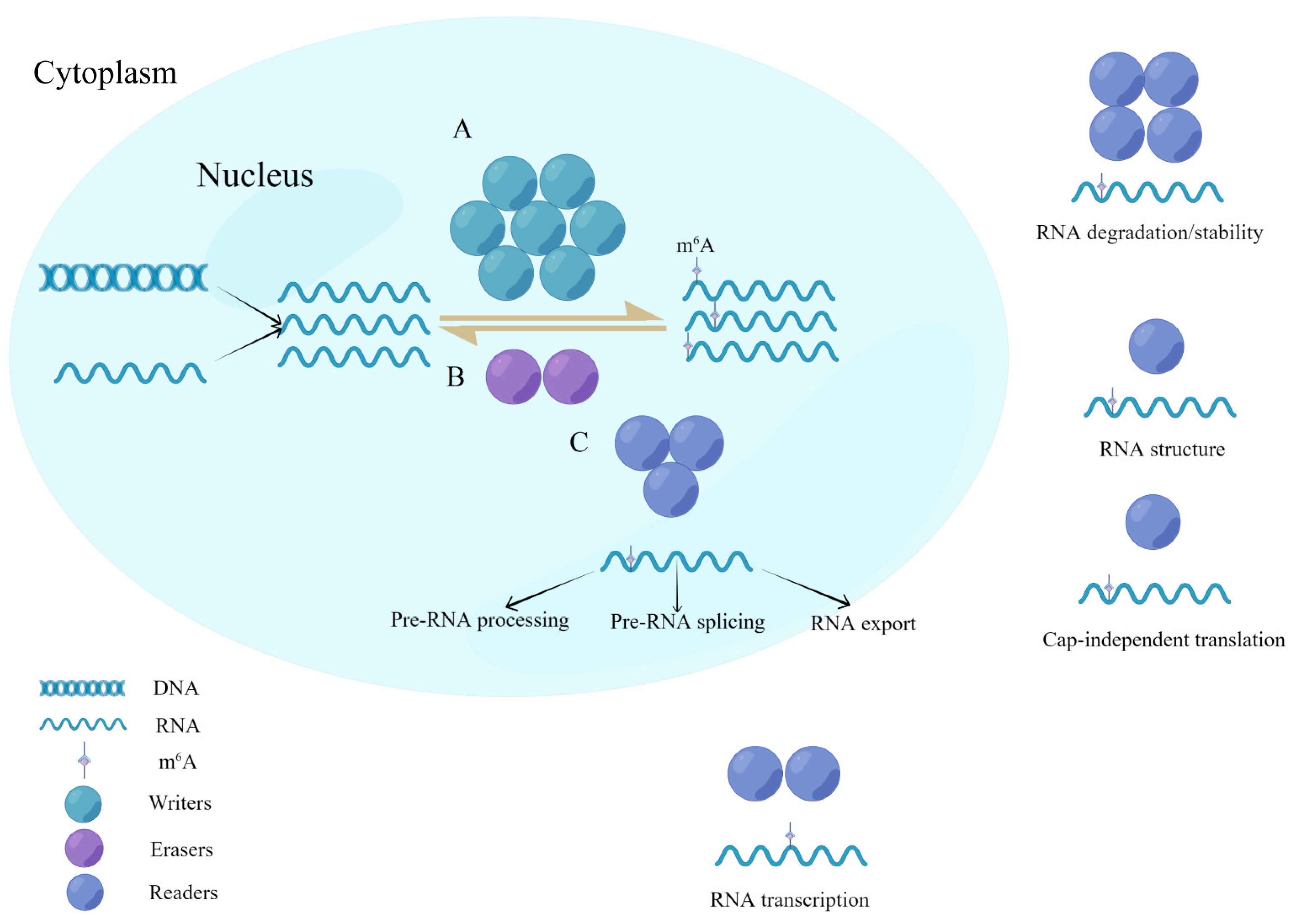 Biomolecules 12 01224 g001