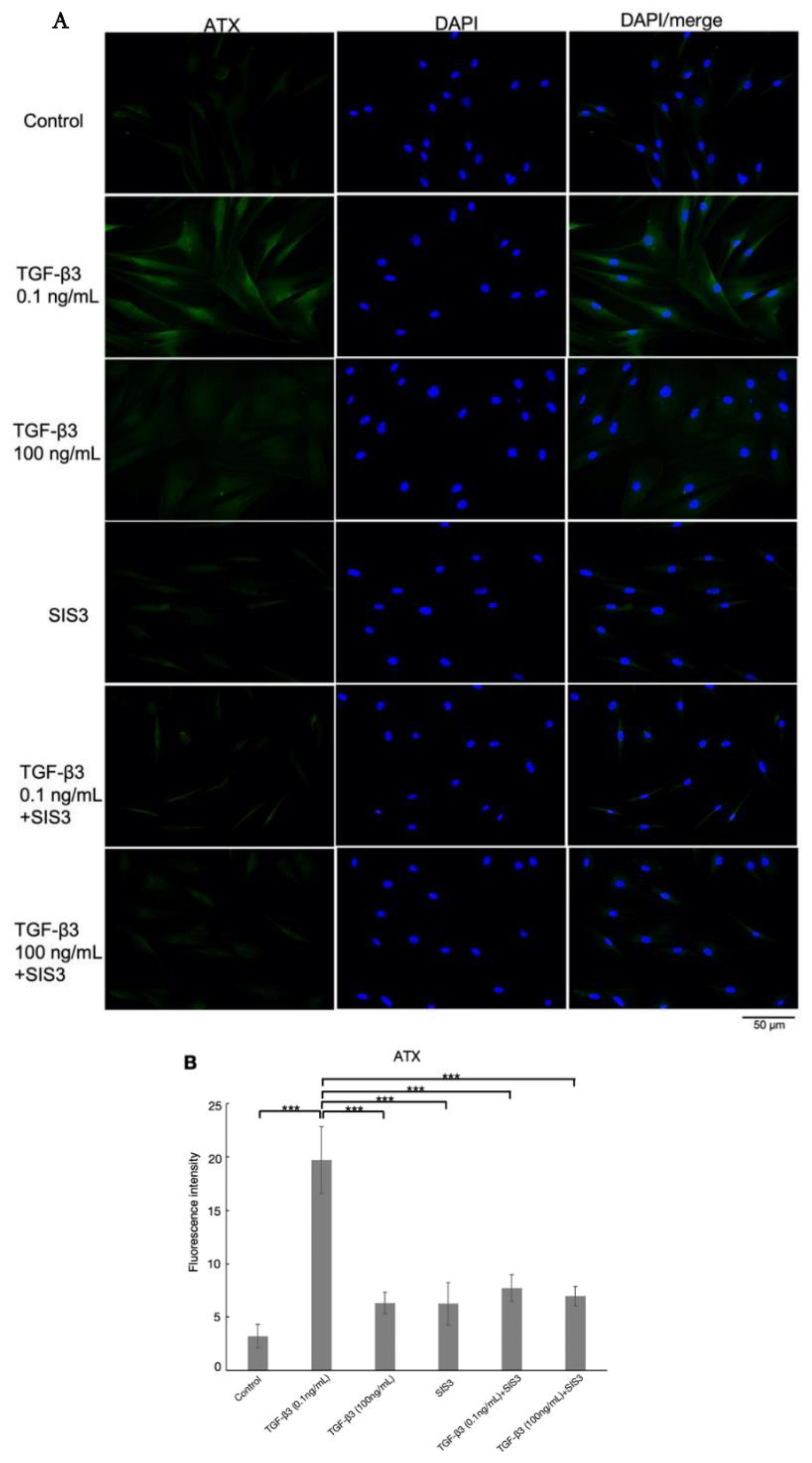 Biomolecules 12 01231 g005