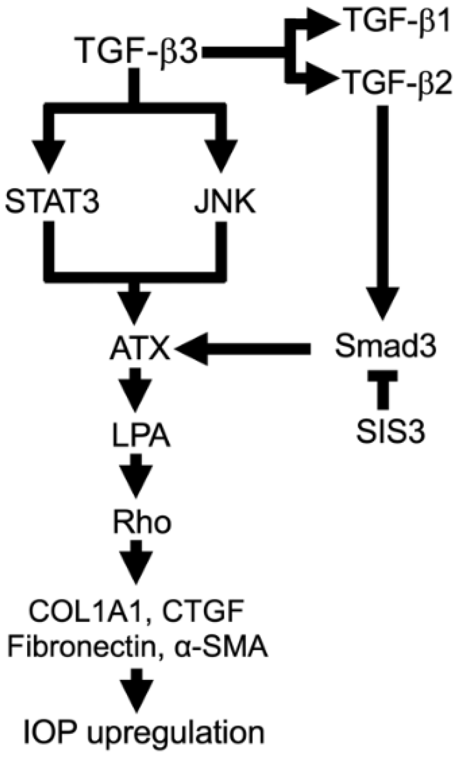 Biomolecules 12 01231 g008
