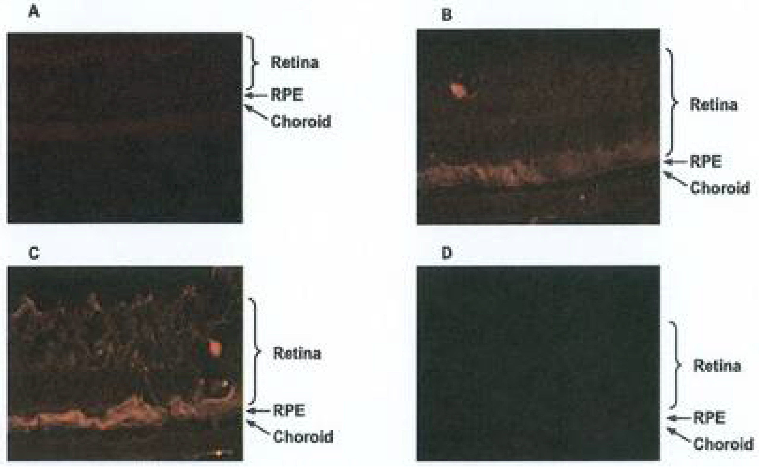 Biomolecules 12 01232 g006 Biomolecules 12 01232 g006
