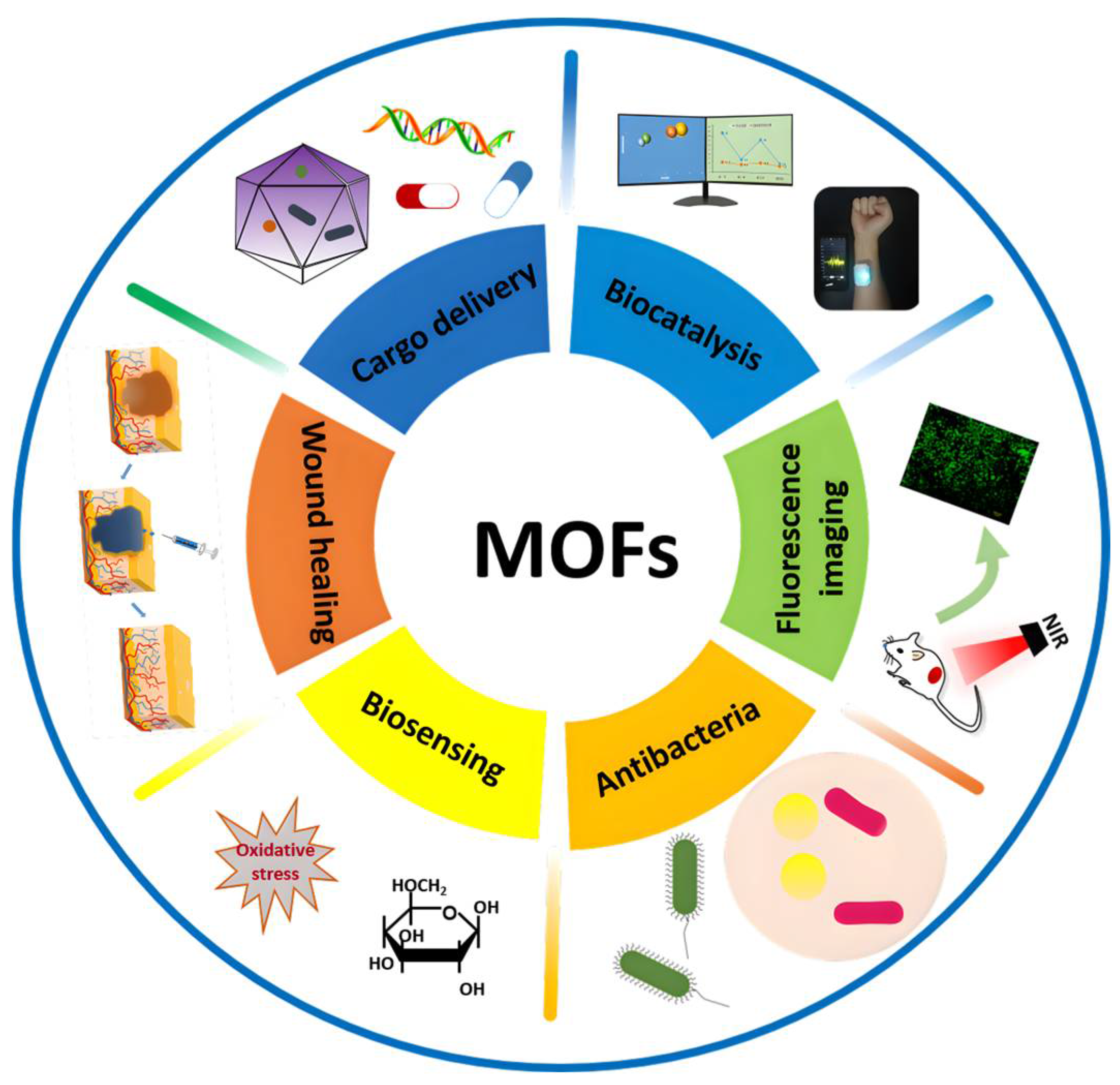 Biomolecules 12 01240 g001