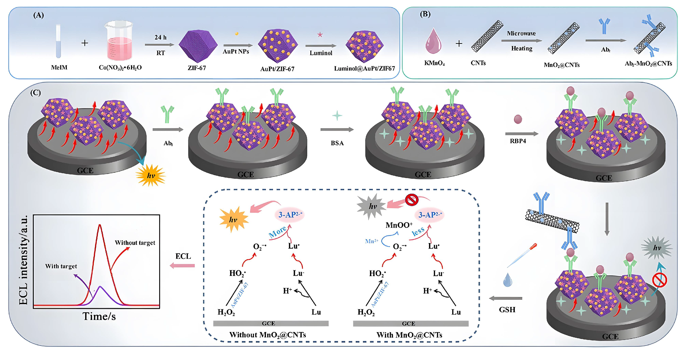 Biomolecules 12 01240 g004