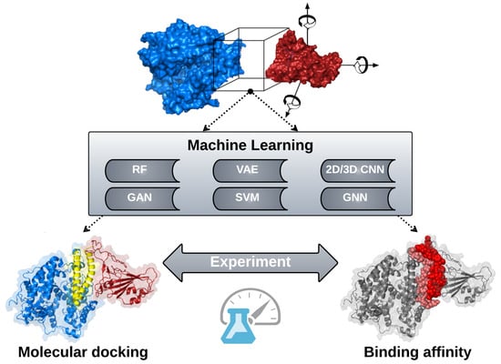 New machine learning and physics-based scoring functions for drug