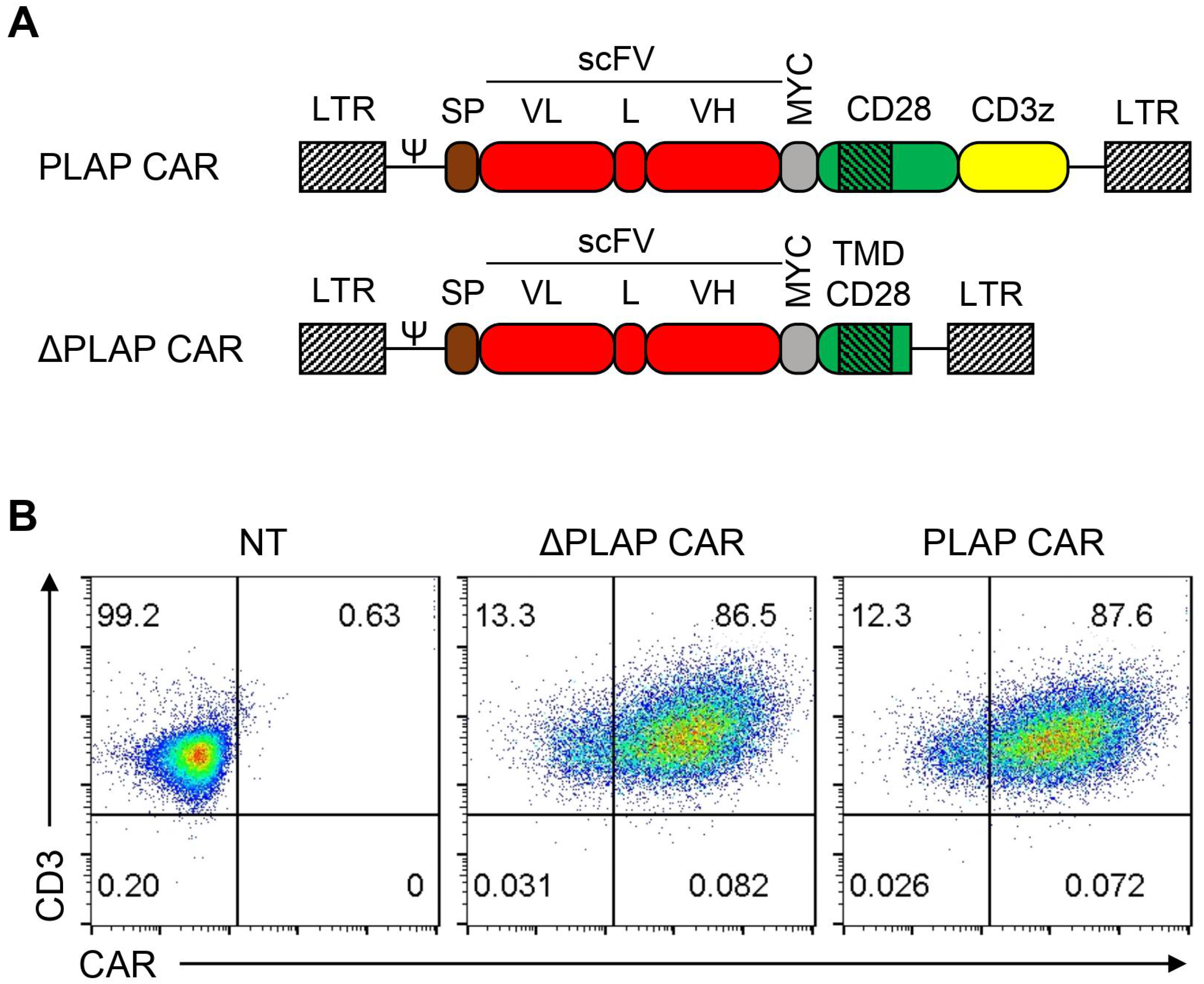 Biomolecules 12 01296 g001