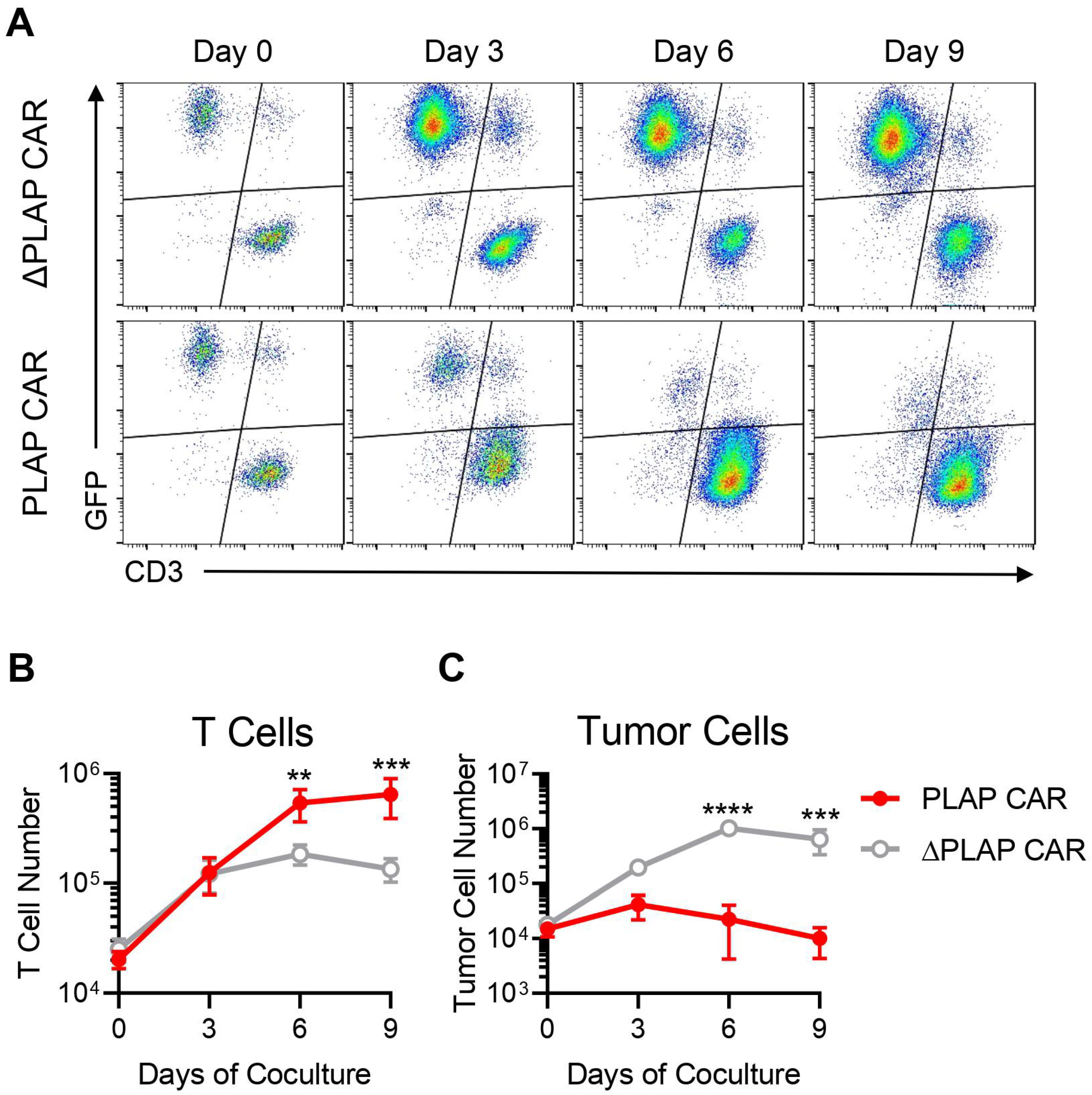 Biomolecules 12 01296 g004