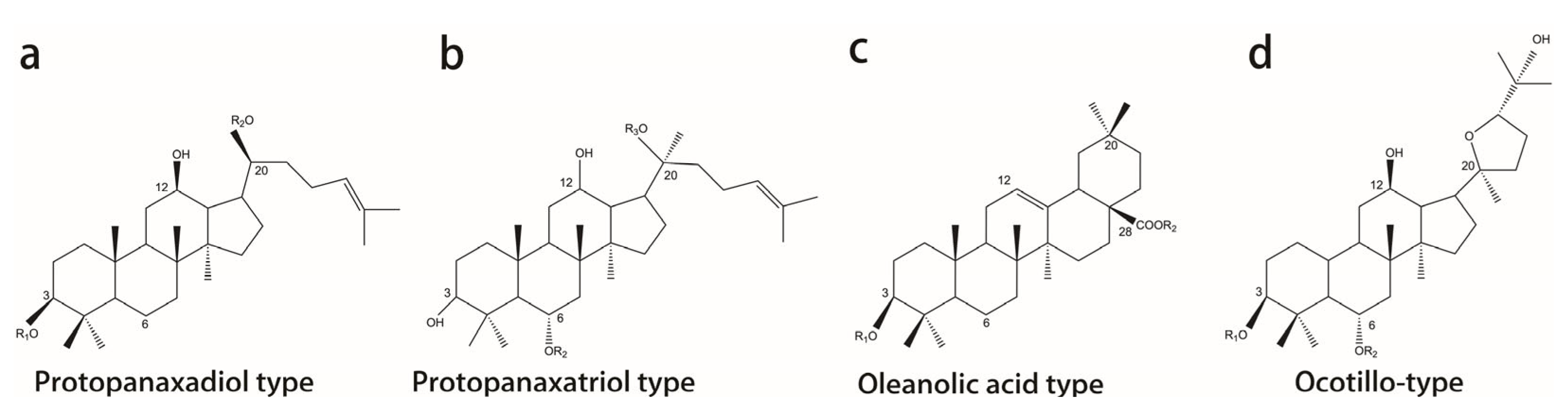 Biomolecules 12 01310 g001
