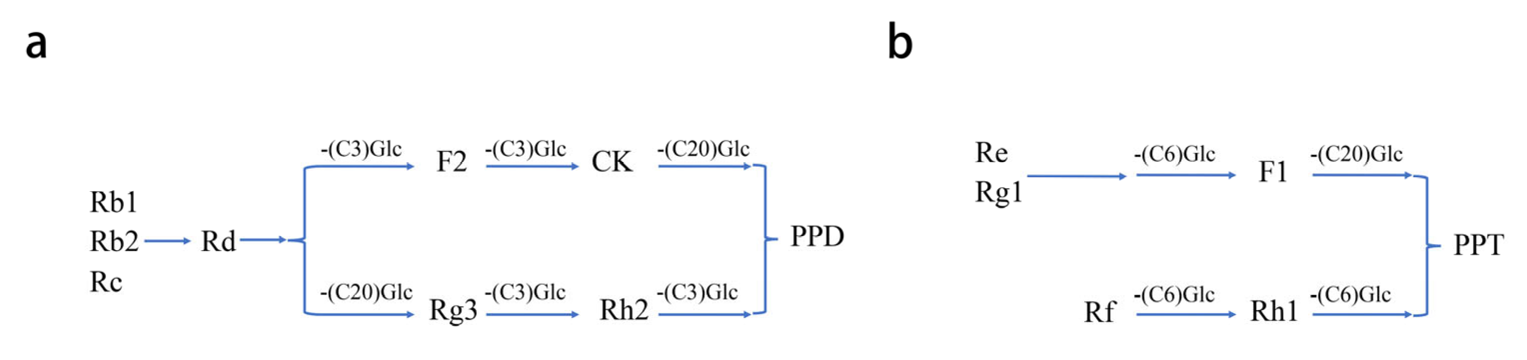 Biomolecules 12 01310 g002