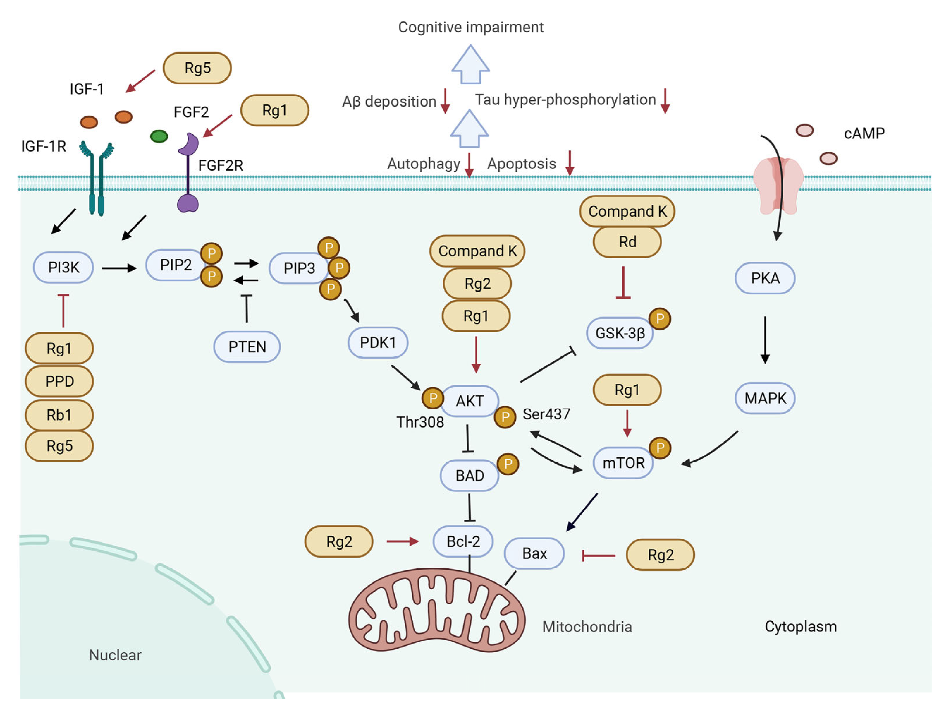 Biomolecules 12 01310 g003