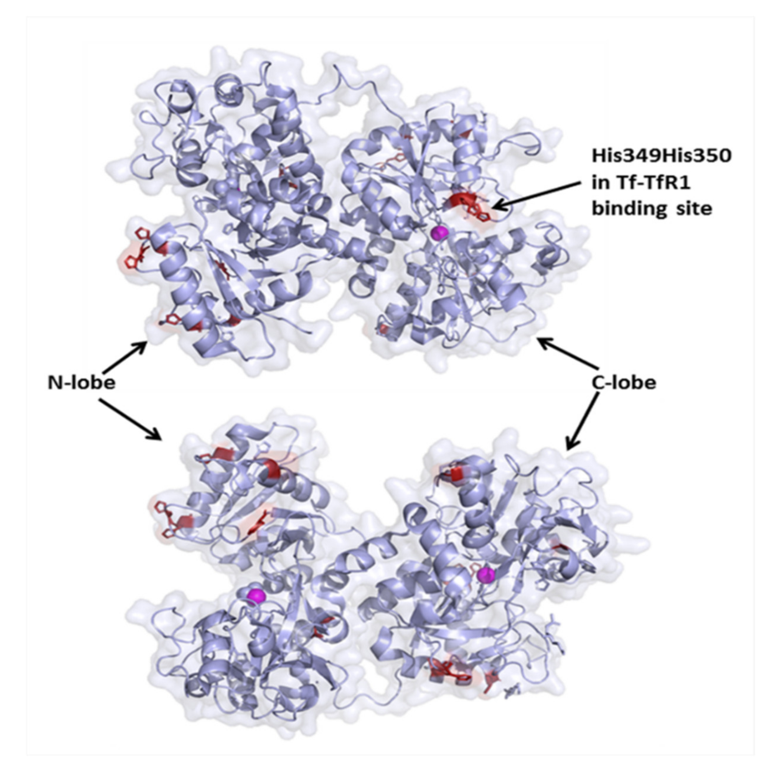 Biomolecules 12 01319 g003 Biomolecules 12 01319 g003
