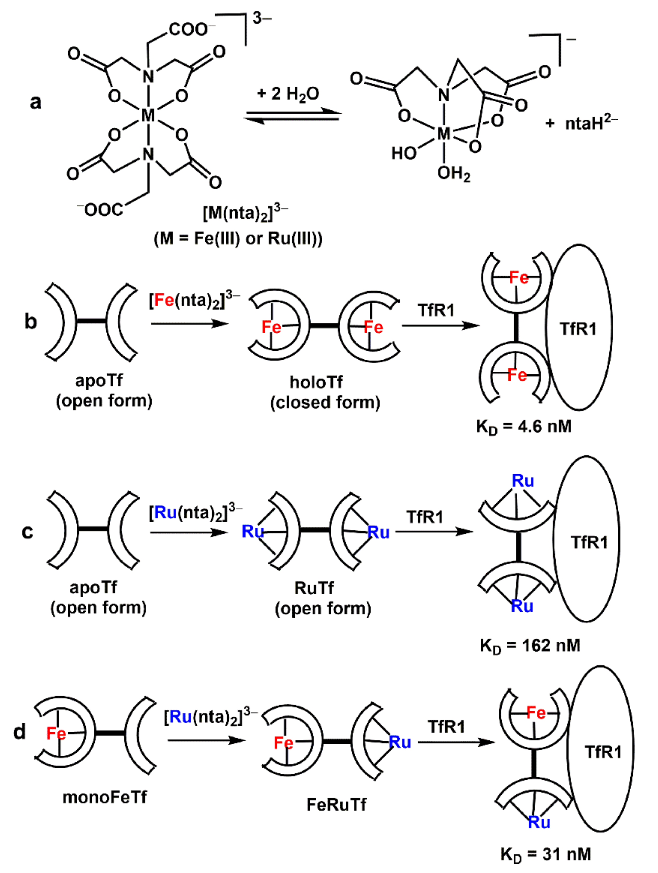 Biomolecules 12 01319 sch001 Biomolecules 12 01319 sch001