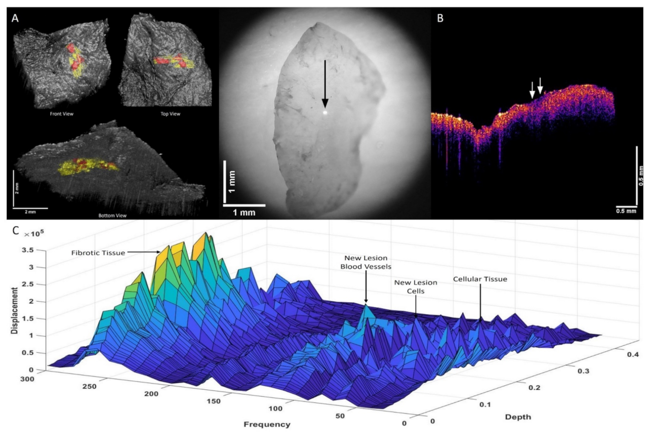 Biomolecules 12 01332 g005 Biomolecules 12 01332 g005
