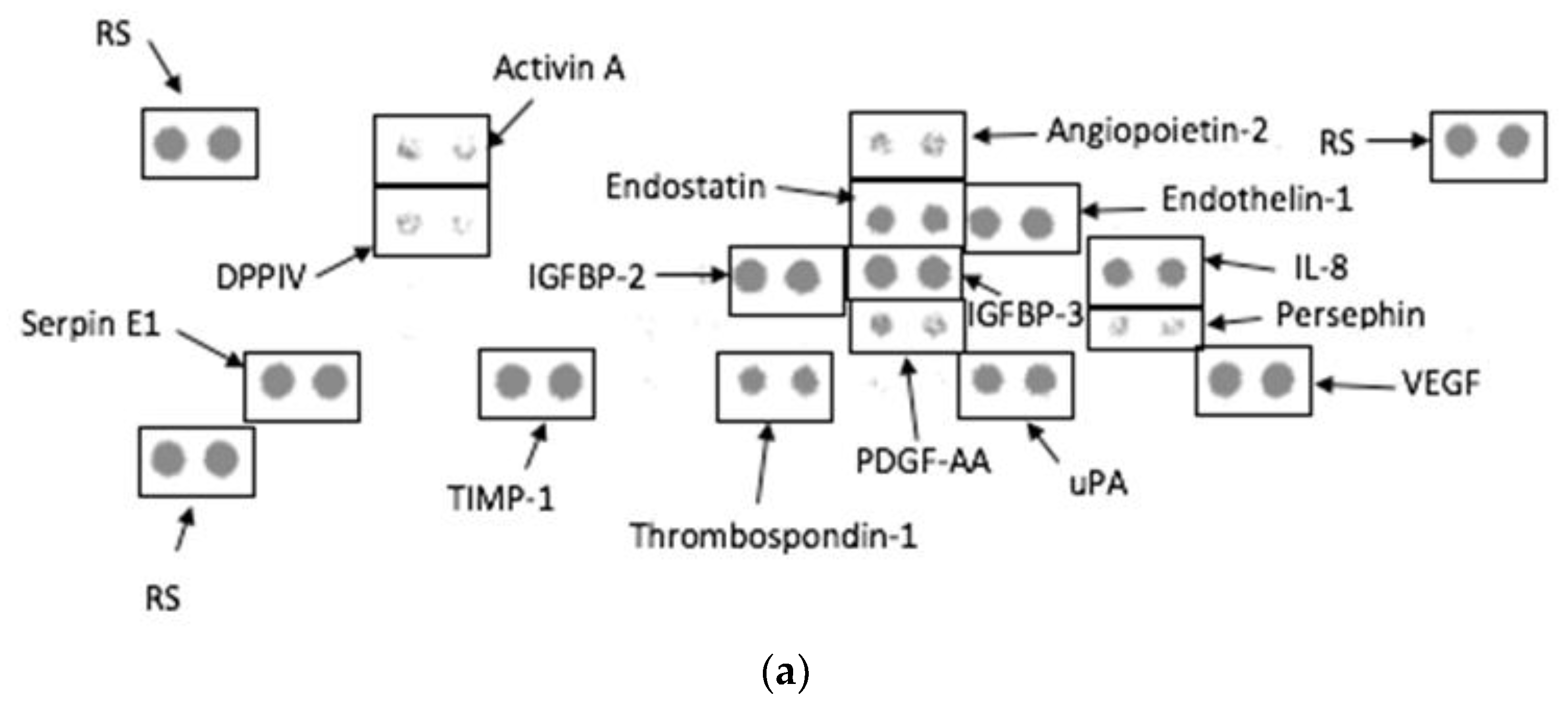 Biomolecules 12 01334 g006a Biomolecules 12 01334 g006a