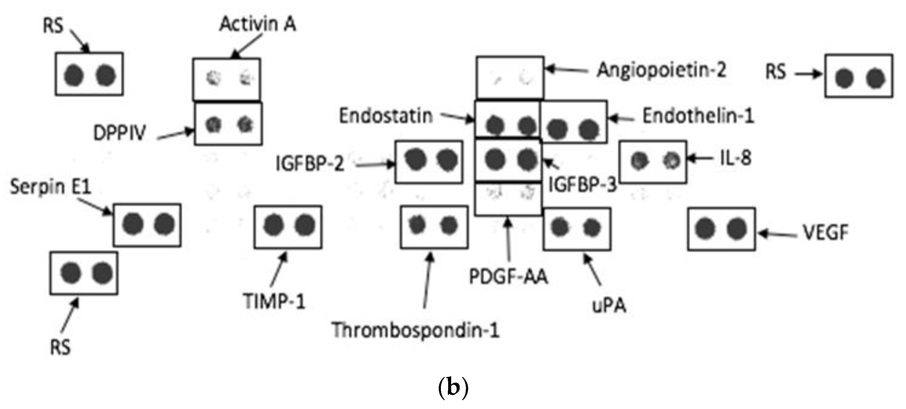 Biomolecules 12 01334 g006b Biomolecules 12 01334 g006b