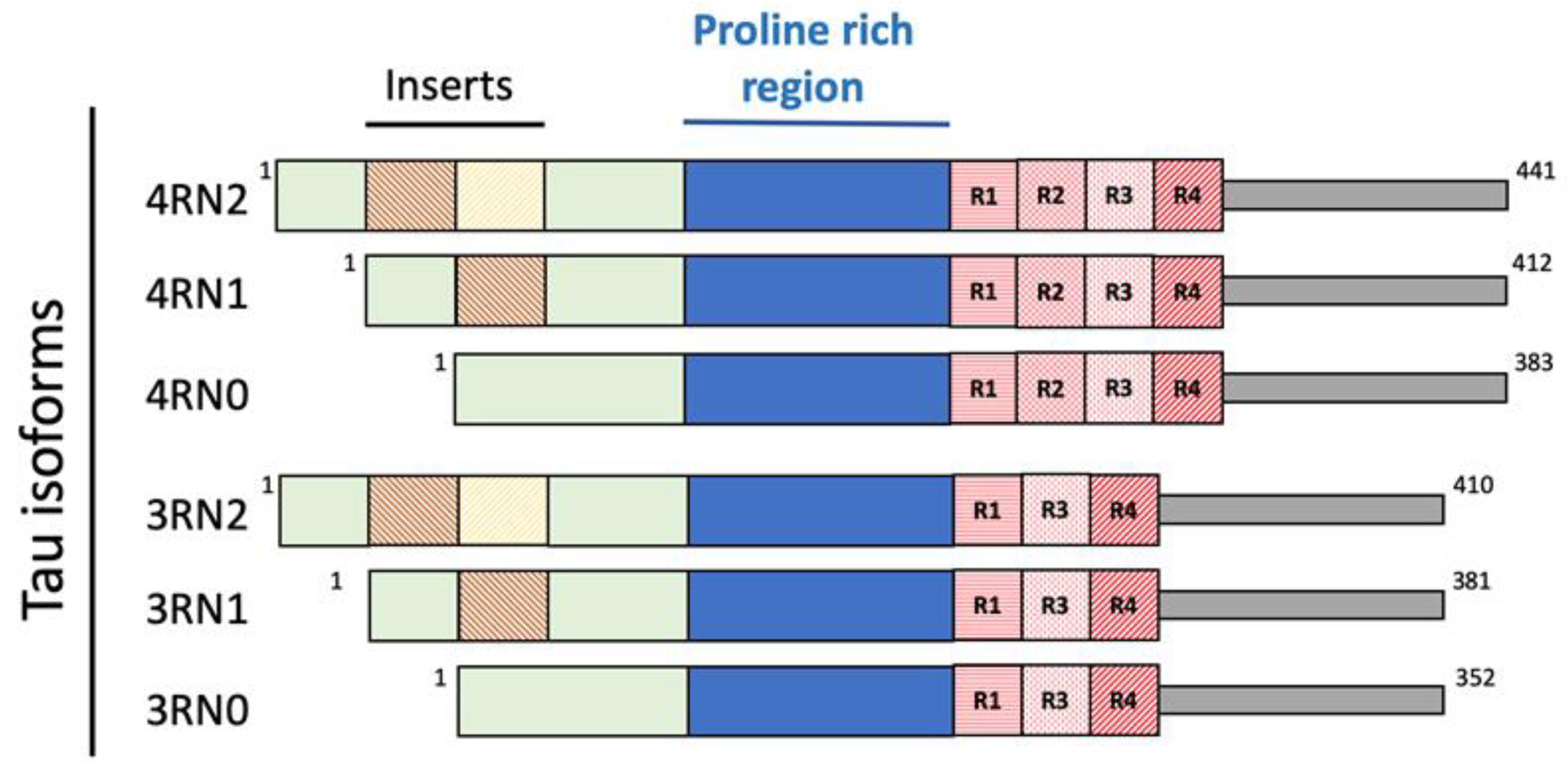 Biomolecules 12 01344 g003